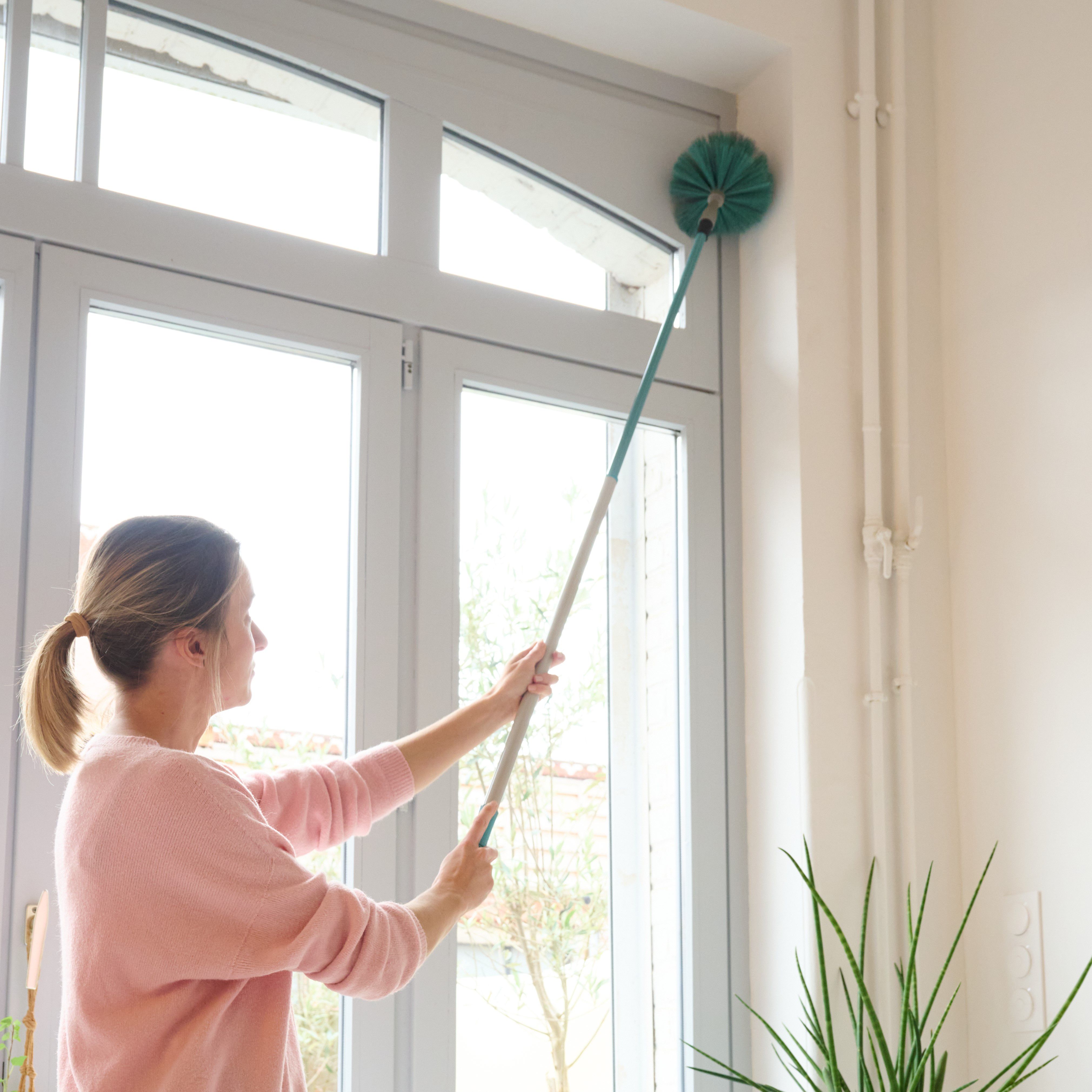 GoodHome Extendable Polypropylene (PP) & steel Telescopic Duster, (L)165cm