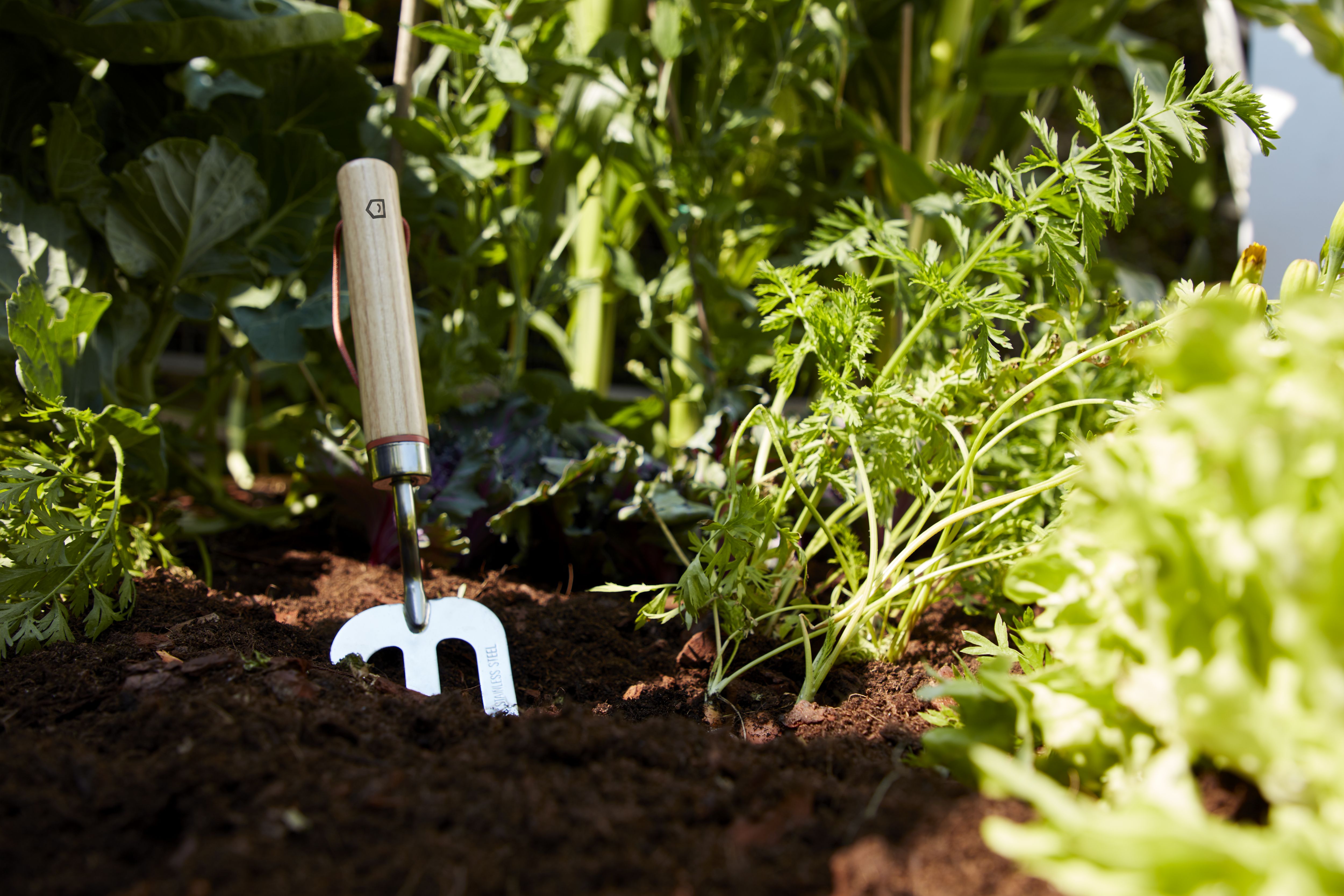 GoodHome Hand fork