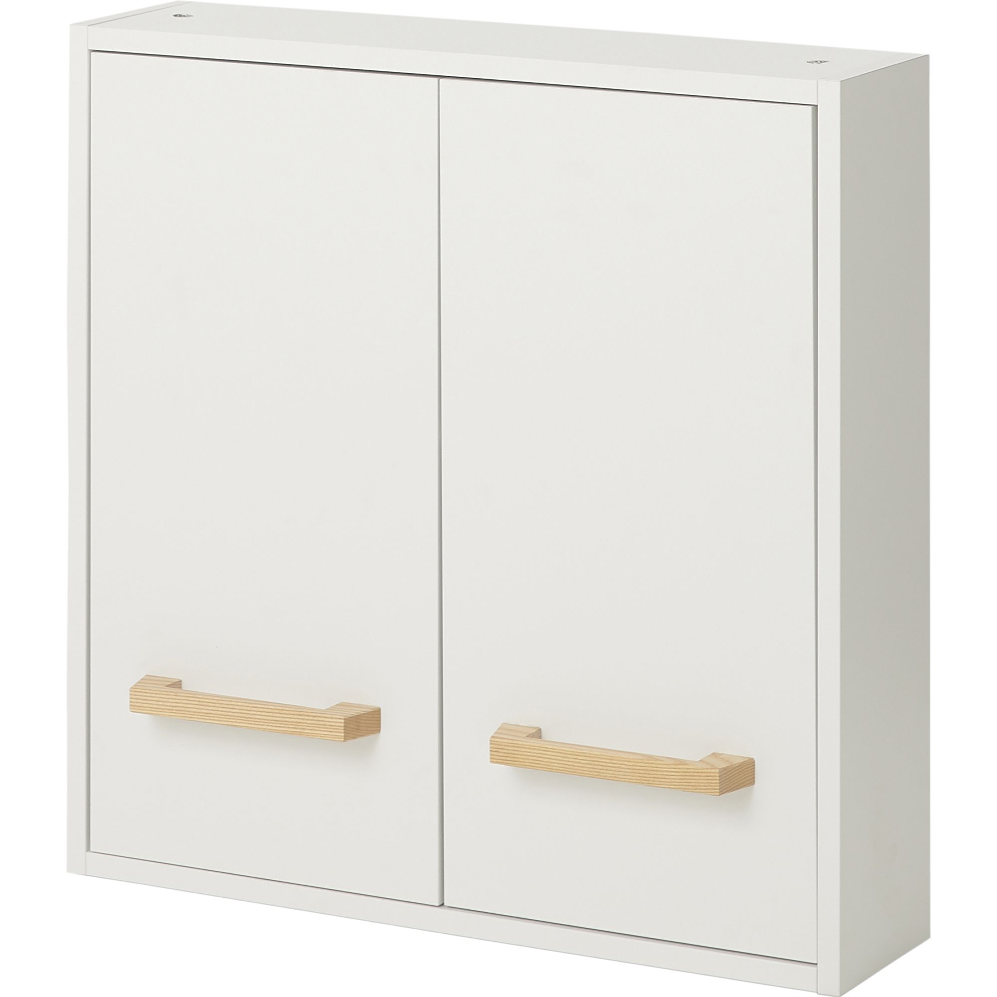 Shallow wall cabinet with outlet doors