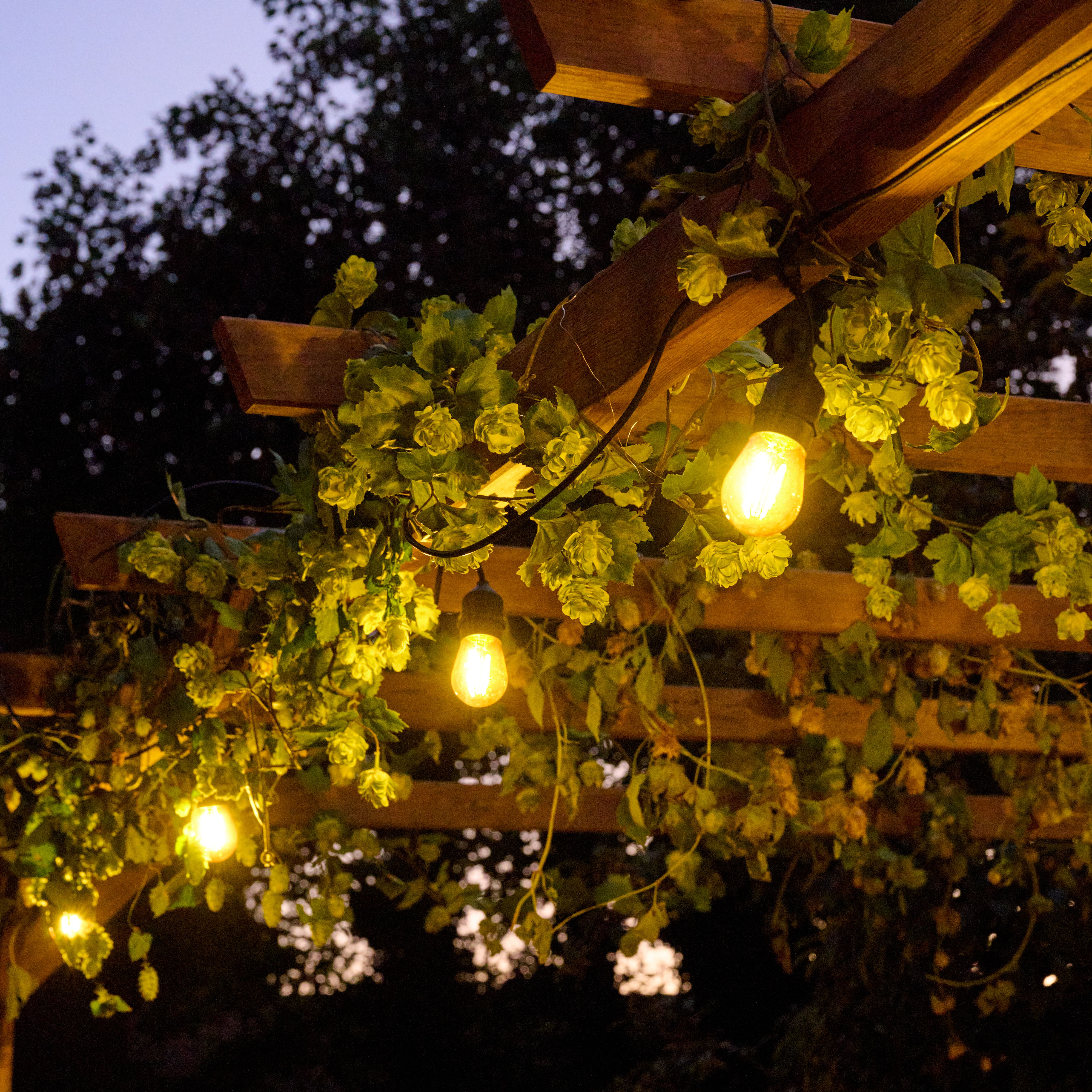 GoodHome Marazion Mains-powered (plug-in) Warm white 10 LED Indoor & outdoor String lights