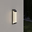 GoodHome Matt Anthracite Mains-powered Integrated LED Outdoor Wall light 520lm