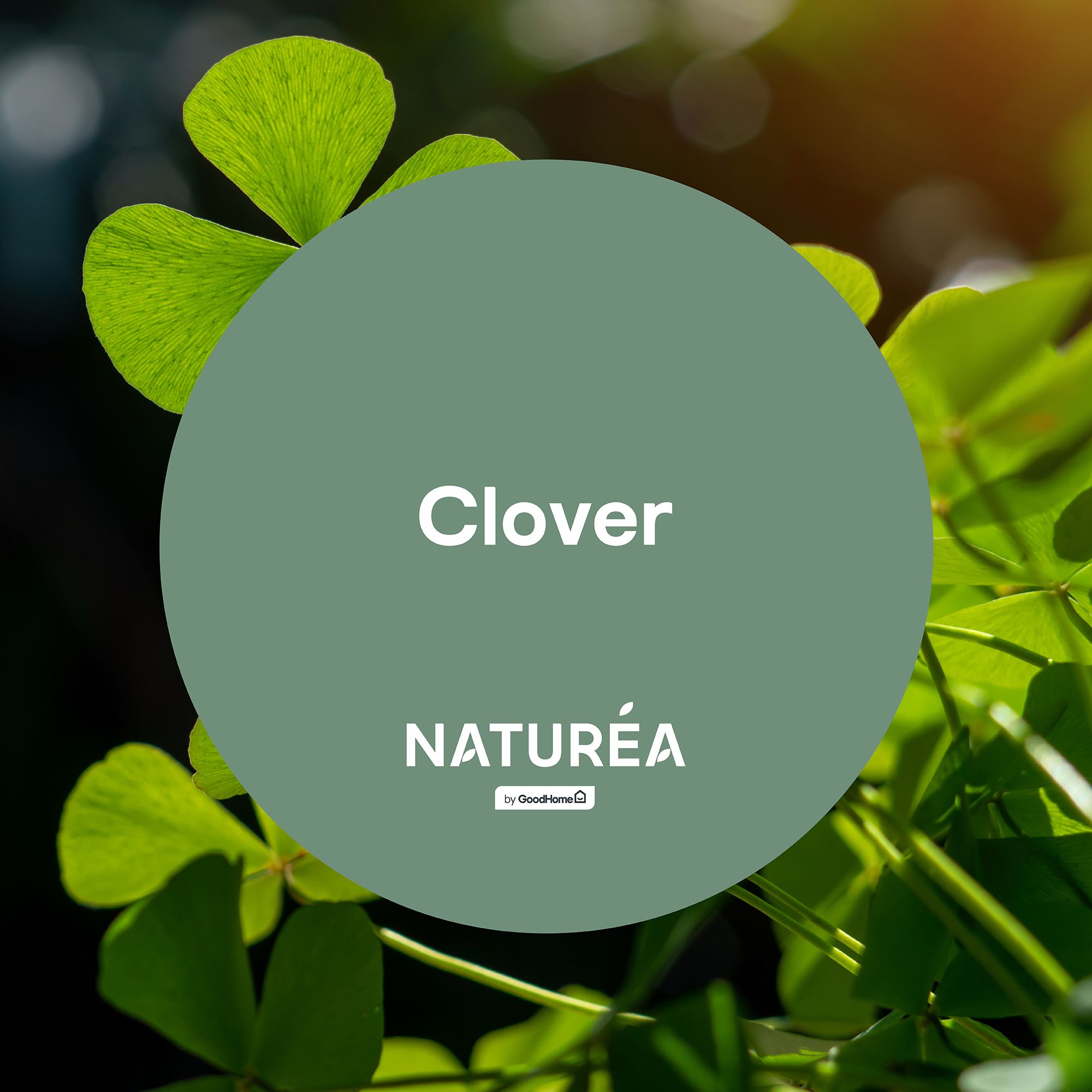 GoodHome Naturéa Clover Velvet matt Wall paint, 2.5L