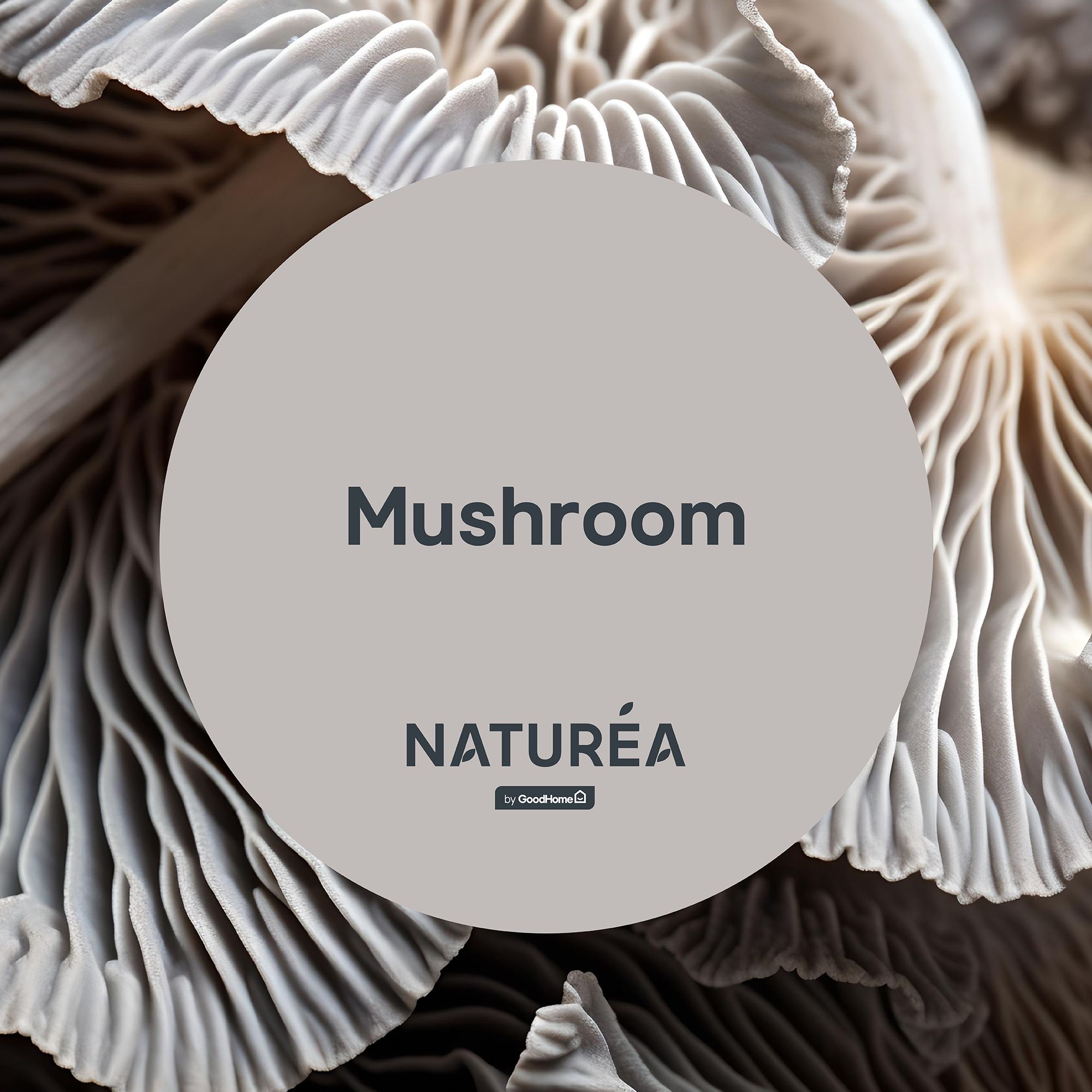 GoodHome Naturéa Mushroom Velvet matt Wall paint, 2.5L