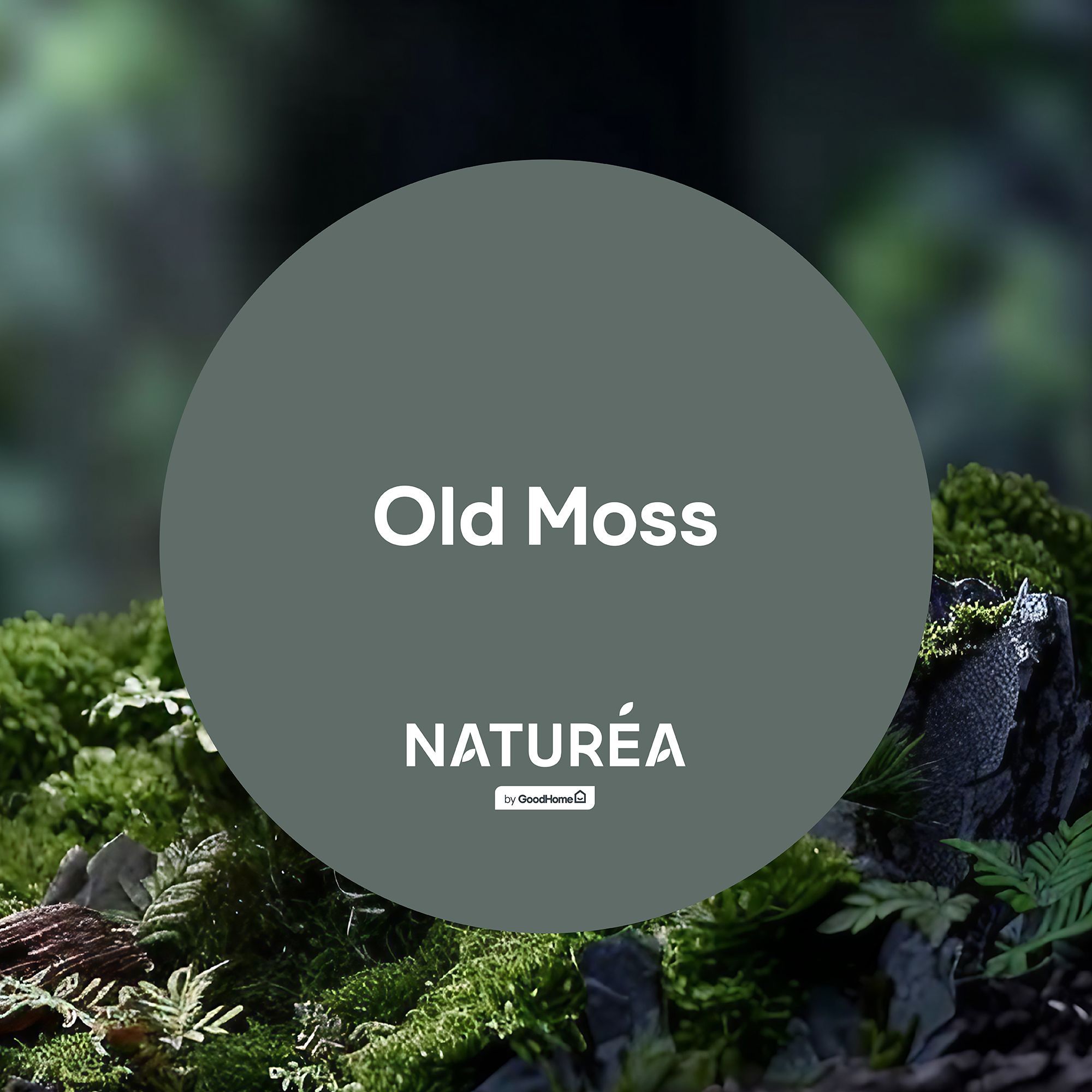 GoodHome Naturéa Old Moss Velvet matt Wall paint, 2.5L