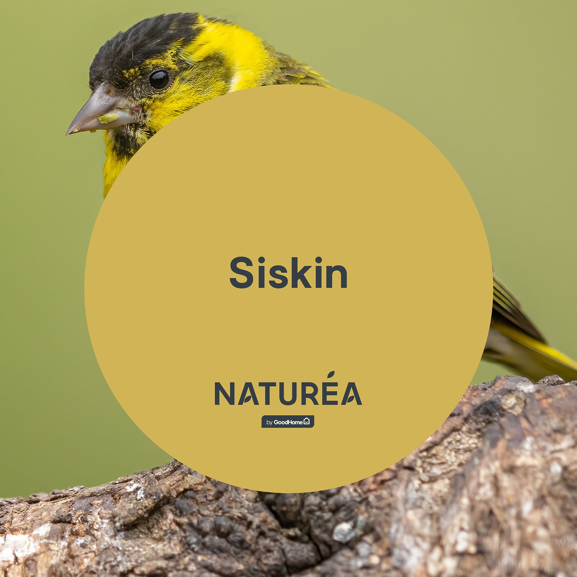 GoodHome Naturéa Siskin Velvet matt Wall paint, 2.5L