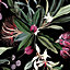 GoodHome Shera Black Floral Smooth Wallpaper