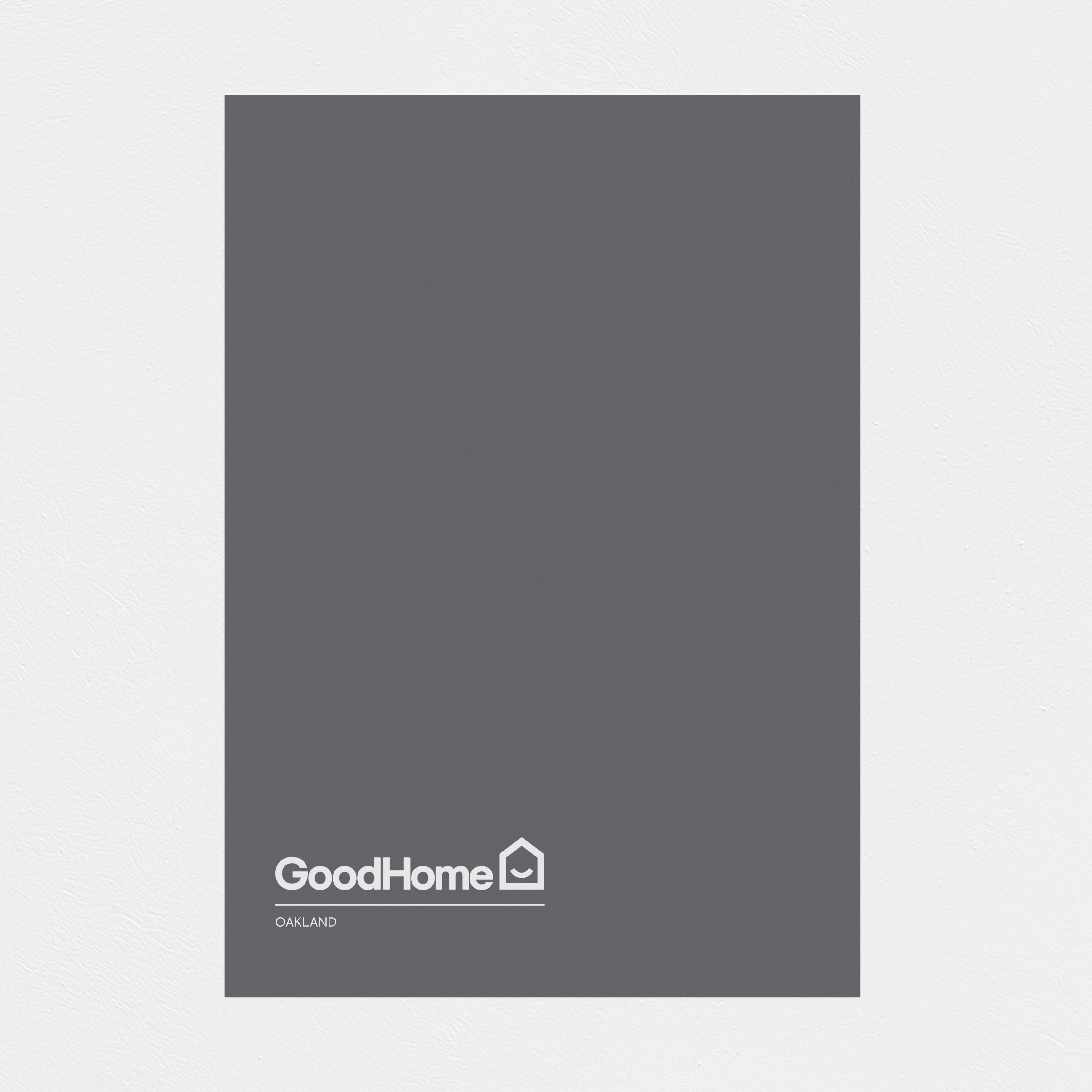 GoodHome Windowsills & trims Oakland Smooth Matt Masonry paint, 2.5L
