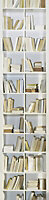 Graham & Brown Trompe oeil Cream Bookcase Mural