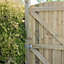 Grange Arched Timber Arched feather edge Gate, (H)1.8m (W)0.9m