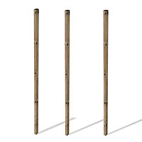 Grange Pine Deck joist (L)2.4m (W)70mm (T)45mm, Pack of 3