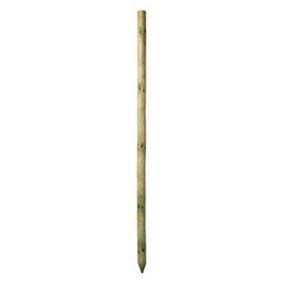 Grange Timber Tree pole (L)1.8m (W)40mm