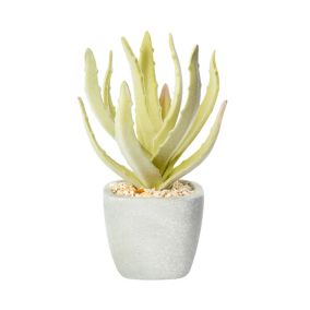 Green Aloe cactus Artificial plant, 17cm