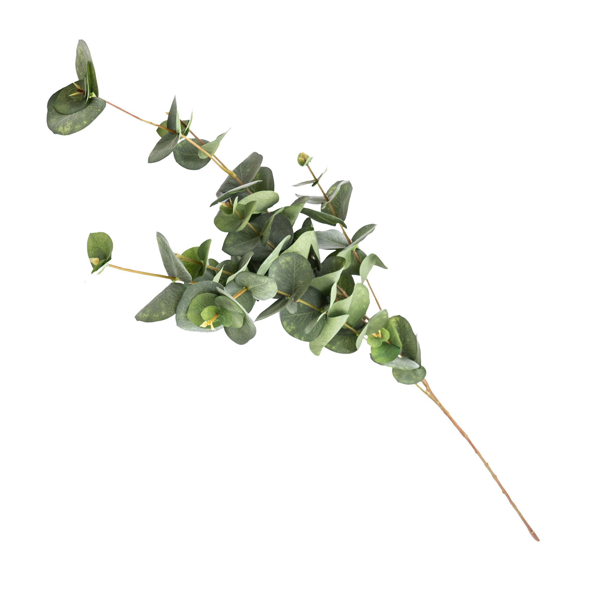 Green Eucalyptus Single stem Artificial foliage (H) 855mm
