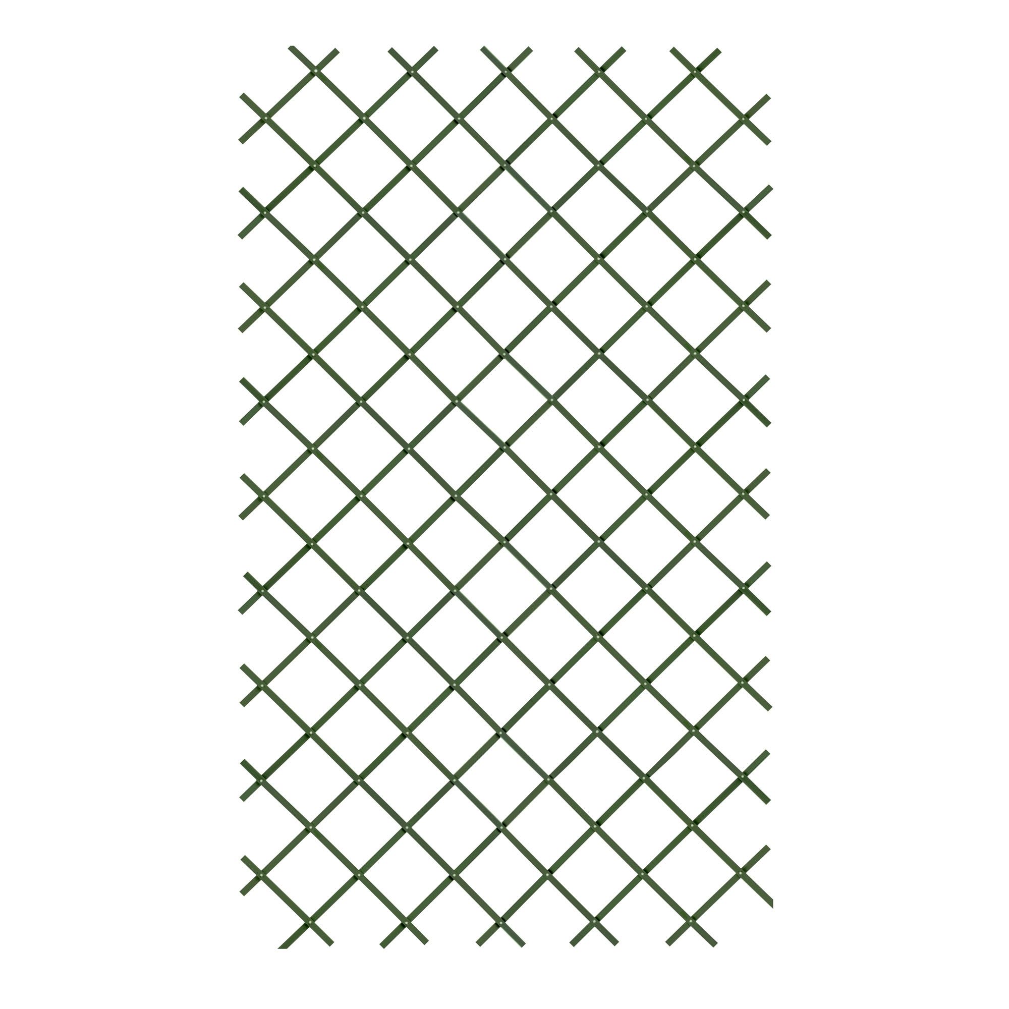 Green Plastic Trellis (W)100cm x (H)200cm