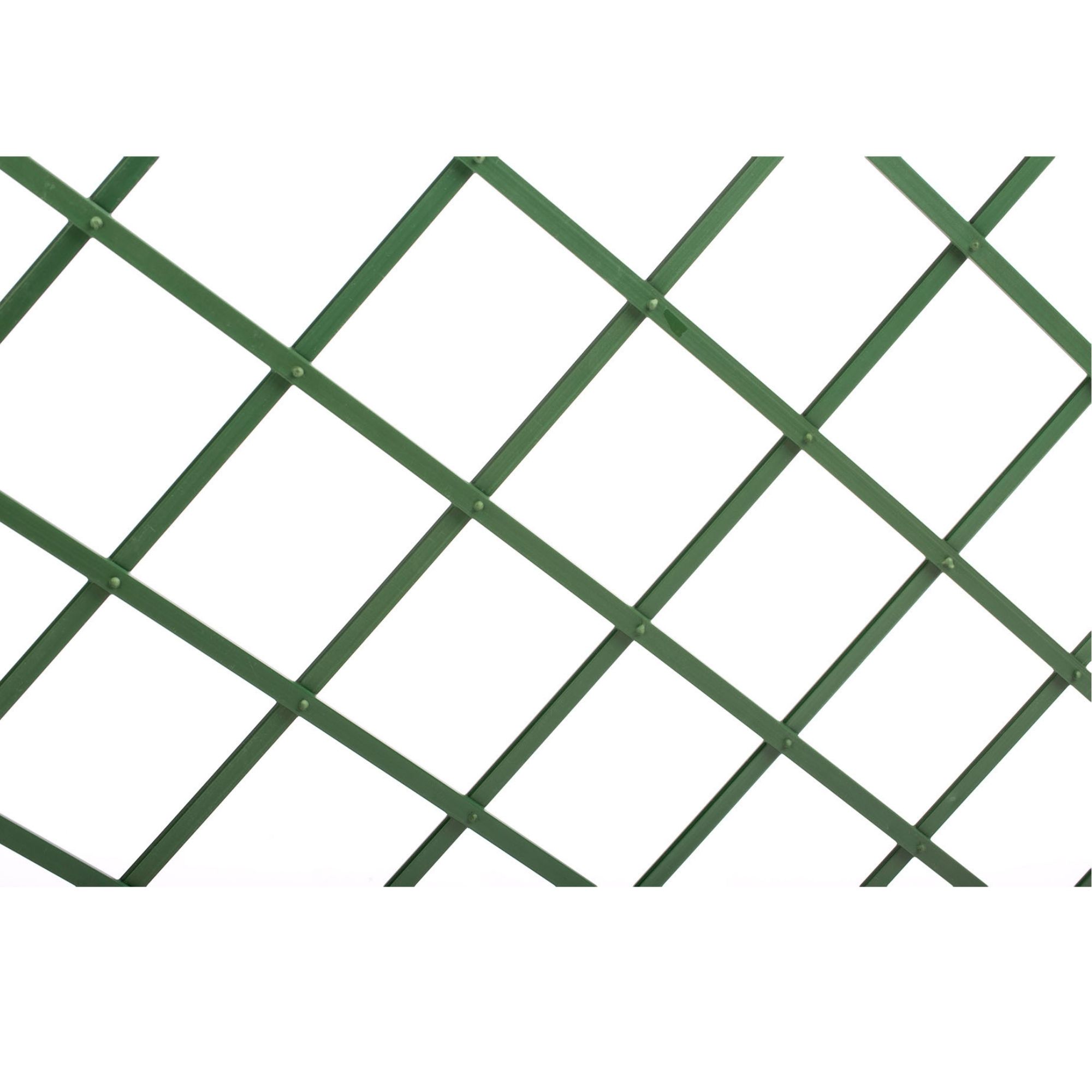 Green Plastic Trellis (W)100cm x (H)200cm
