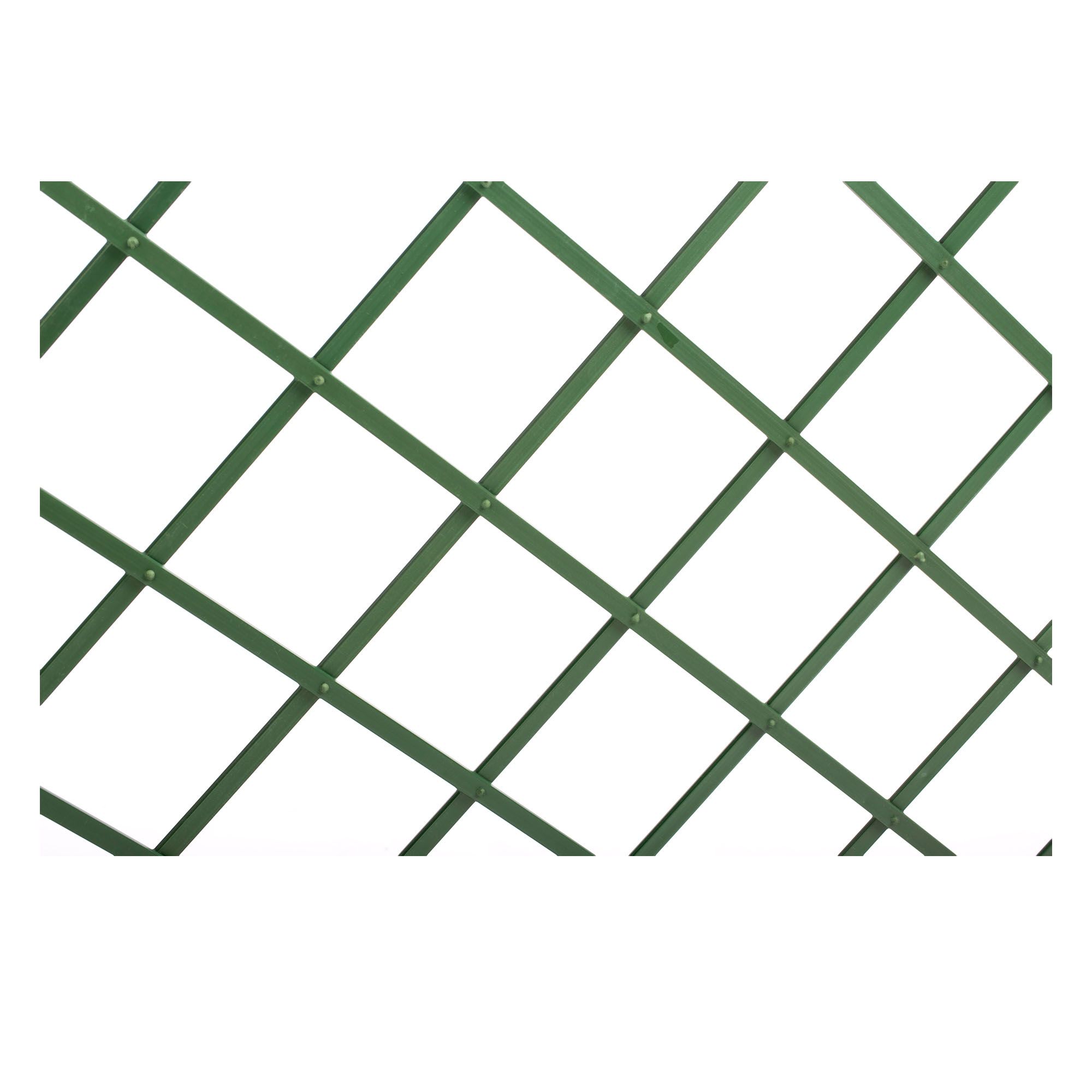 Green Plastic Trellis (W)100cm x (H)200cm