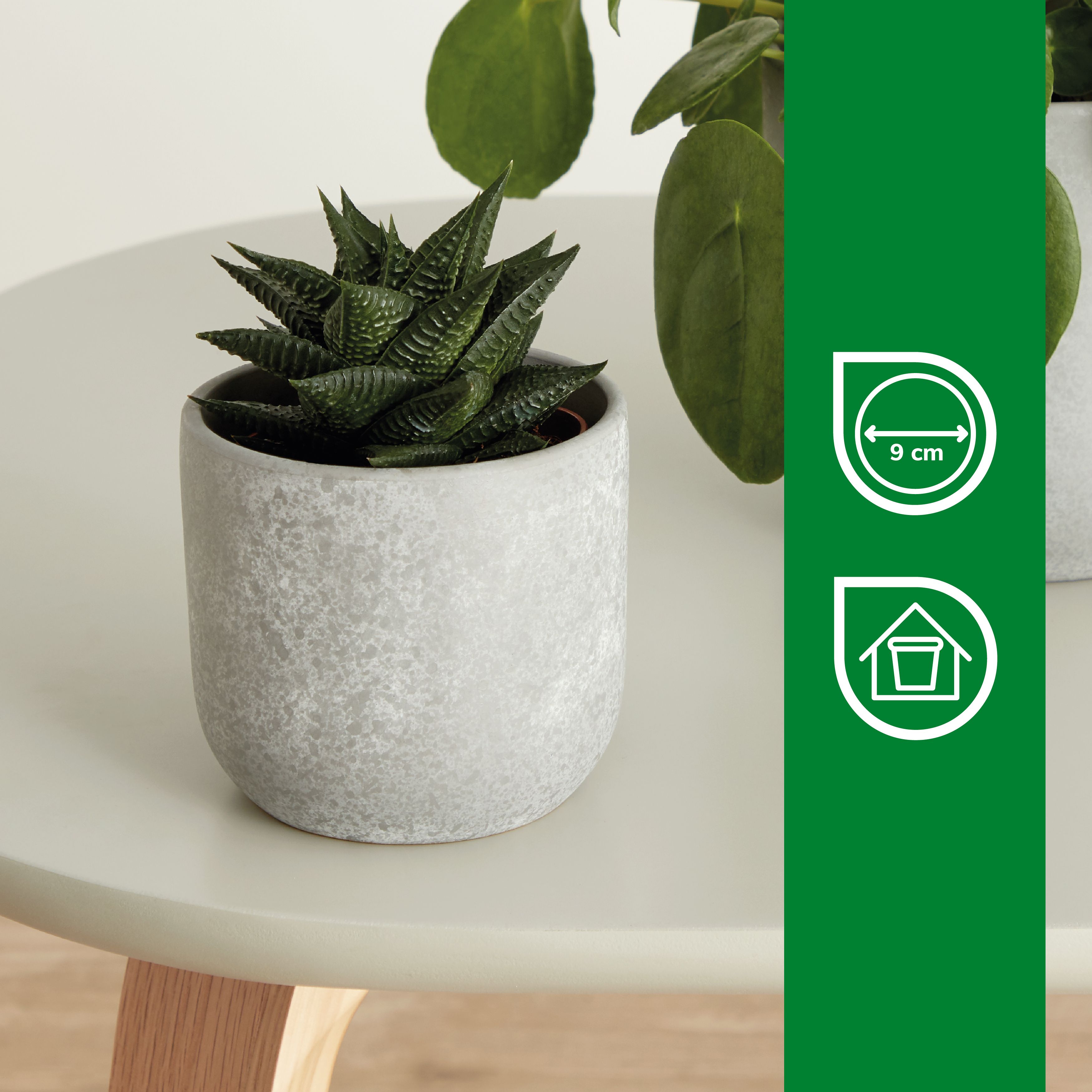 Grey Clay Speckle Circular Plant pot (Dia)10.4cm