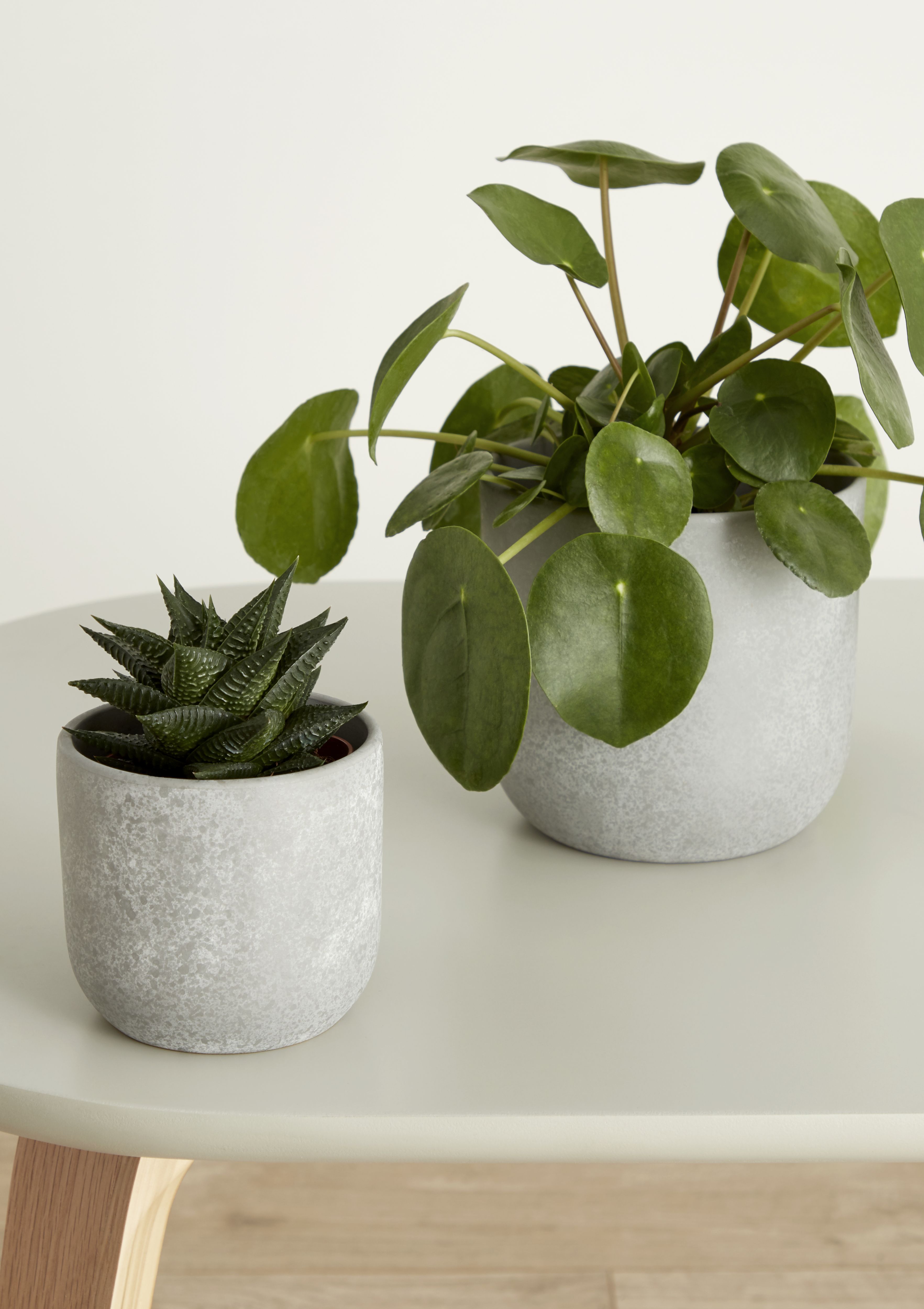 Grey Clay Speckle Circular Plant pot (Dia)10.4cm