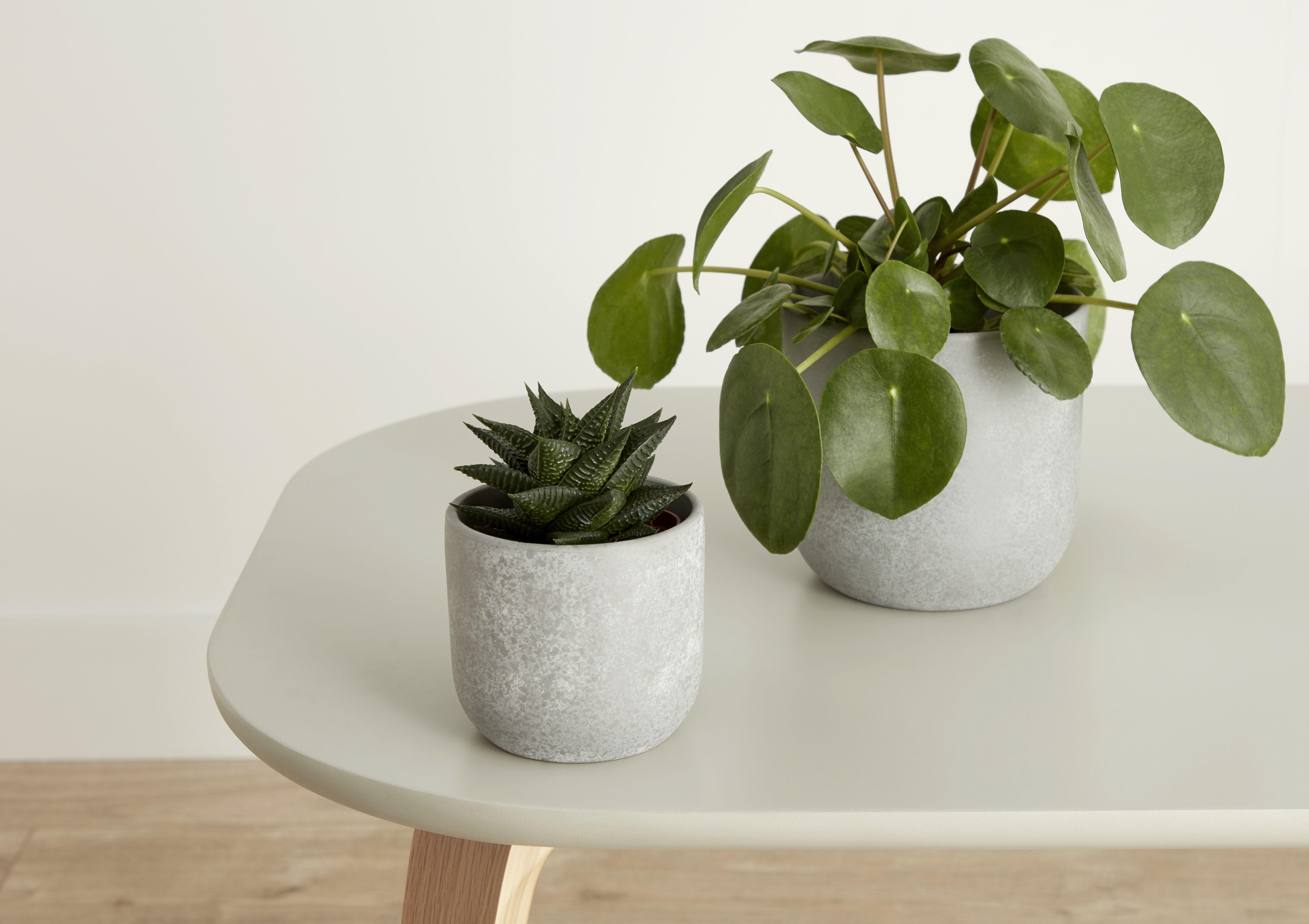 Grey Clay Speckle Circular Plant pot (Dia)10.4cm