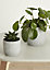 Grey Clay Speckle Circular Plant pot (Dia)14.2cm