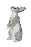 Grey & white Resin Standing rabbit Garden ornament (H)18.5cm