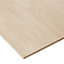 Hardwood Plywood Board (L)2.44m (W)1.22m (T)9mm 13000g