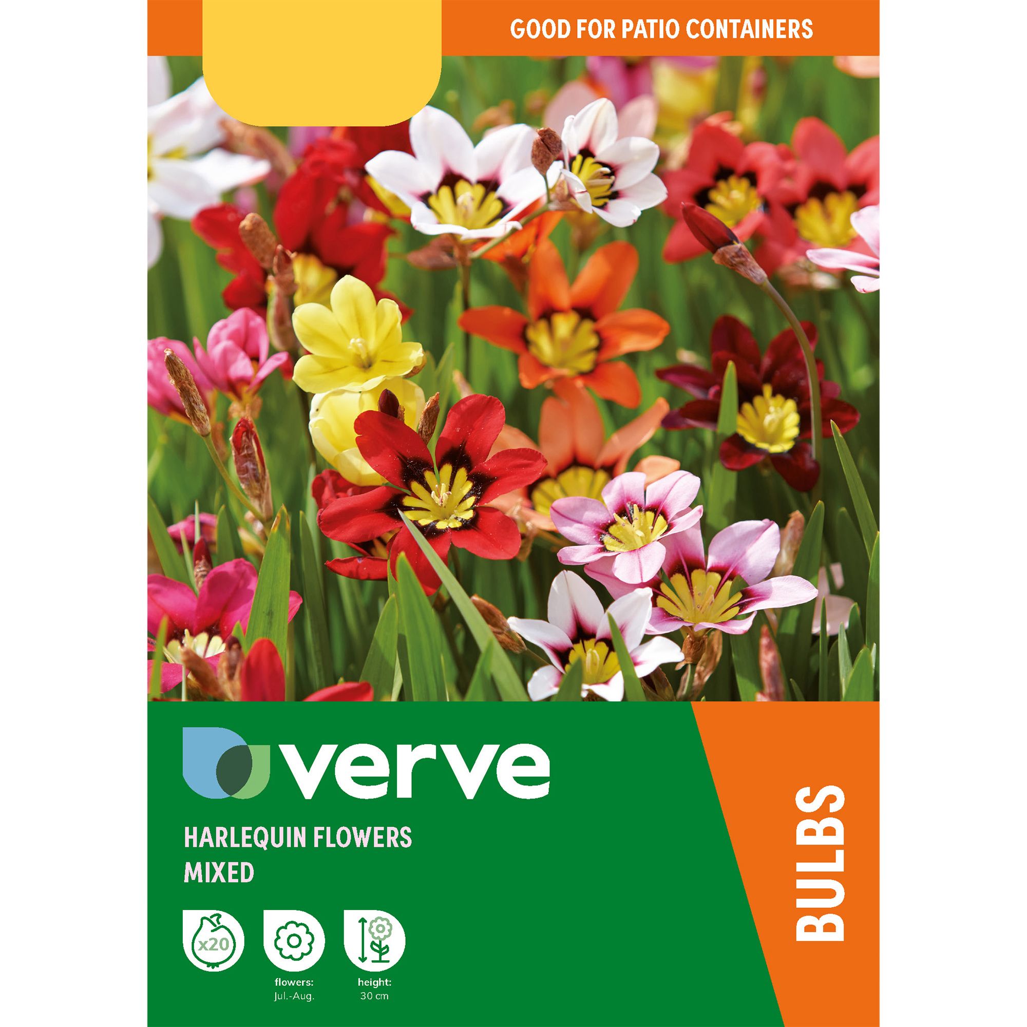 Harlequin Flower Mixed Flower bulb, Pack of 20