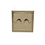 Holder Brass Raised profile Double 2 way Dimmer switch