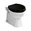 Ideal Standard Waverley White Back to wall Toilet & cistern with Standard close seat