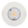 iDual Performa White Stainless steel effect LED Downlight 7.5W IP65