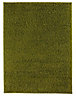 Kala Green Rug 160cmx120cm