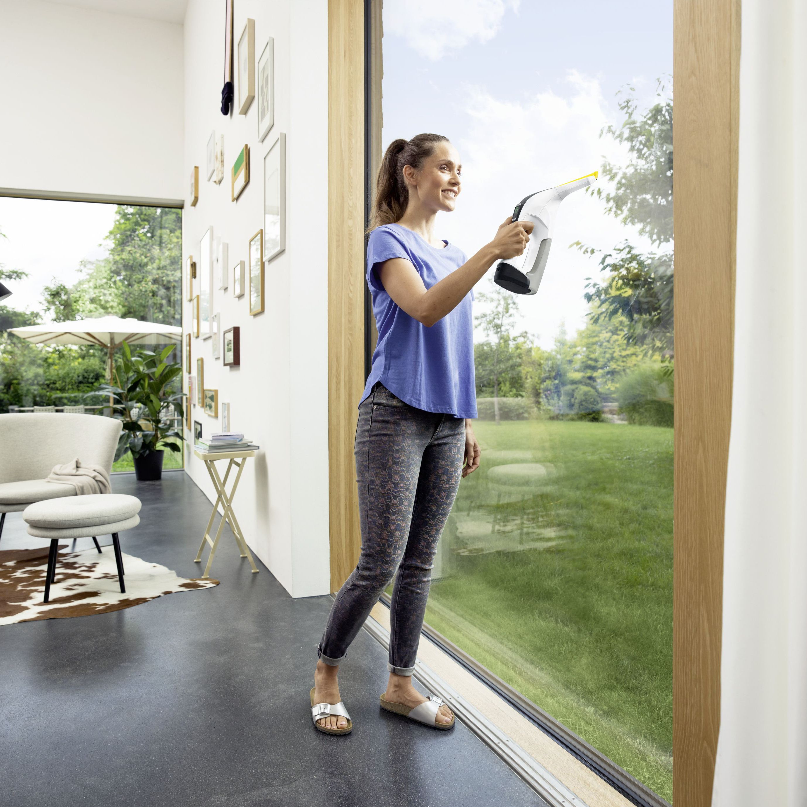 Kärcher WV 6 Plus Cordless Window vacuum