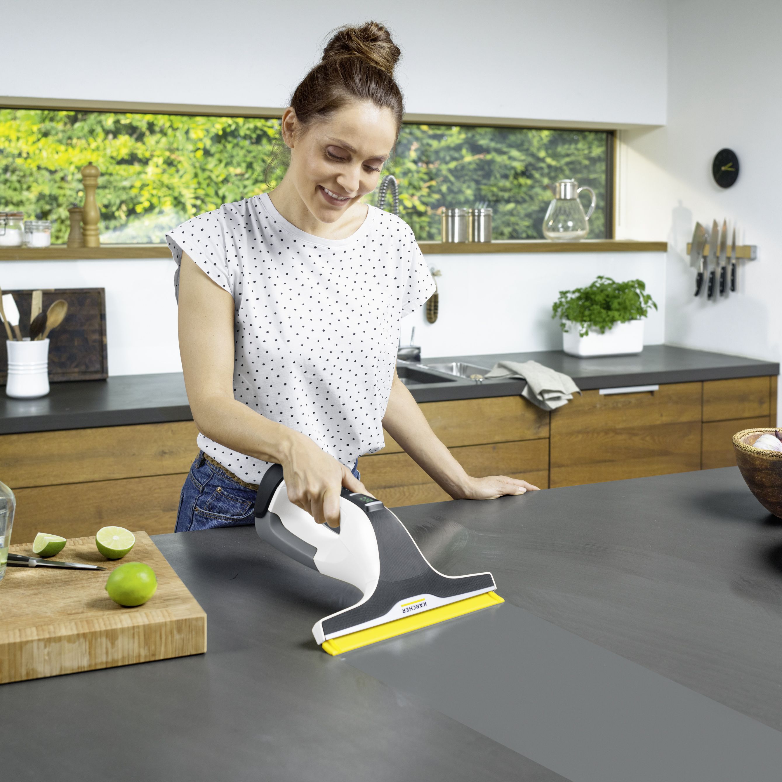 Kärcher WV 6 Plus Cordless Window vacuum