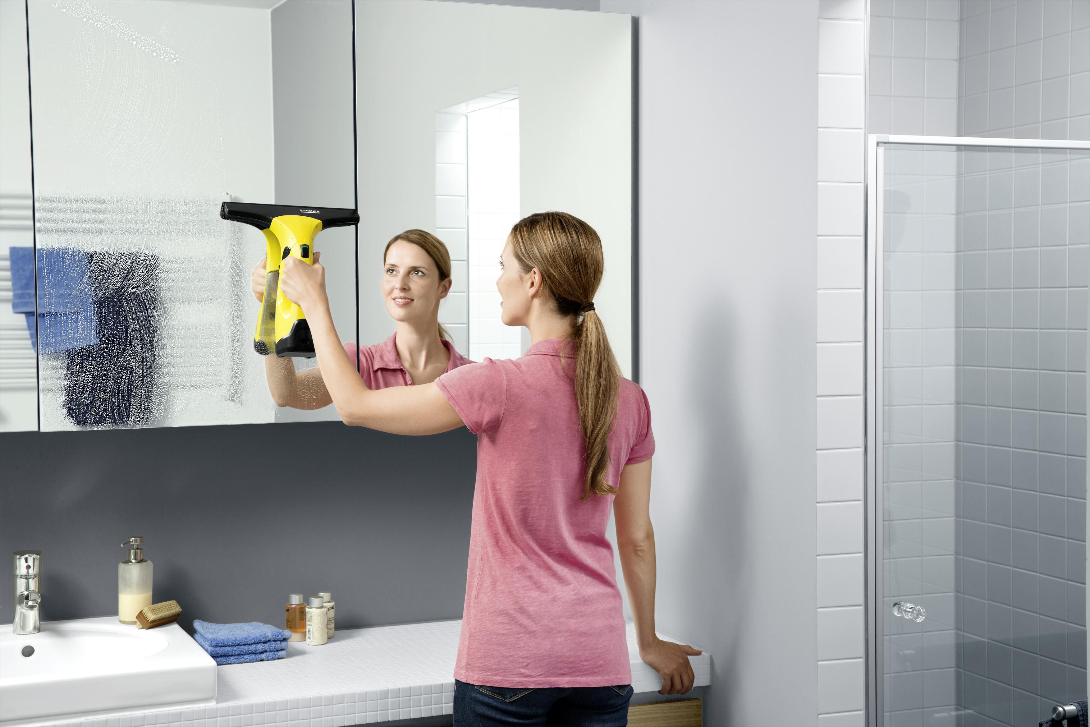 Kärcher WV2 Plus D500 Window vac
