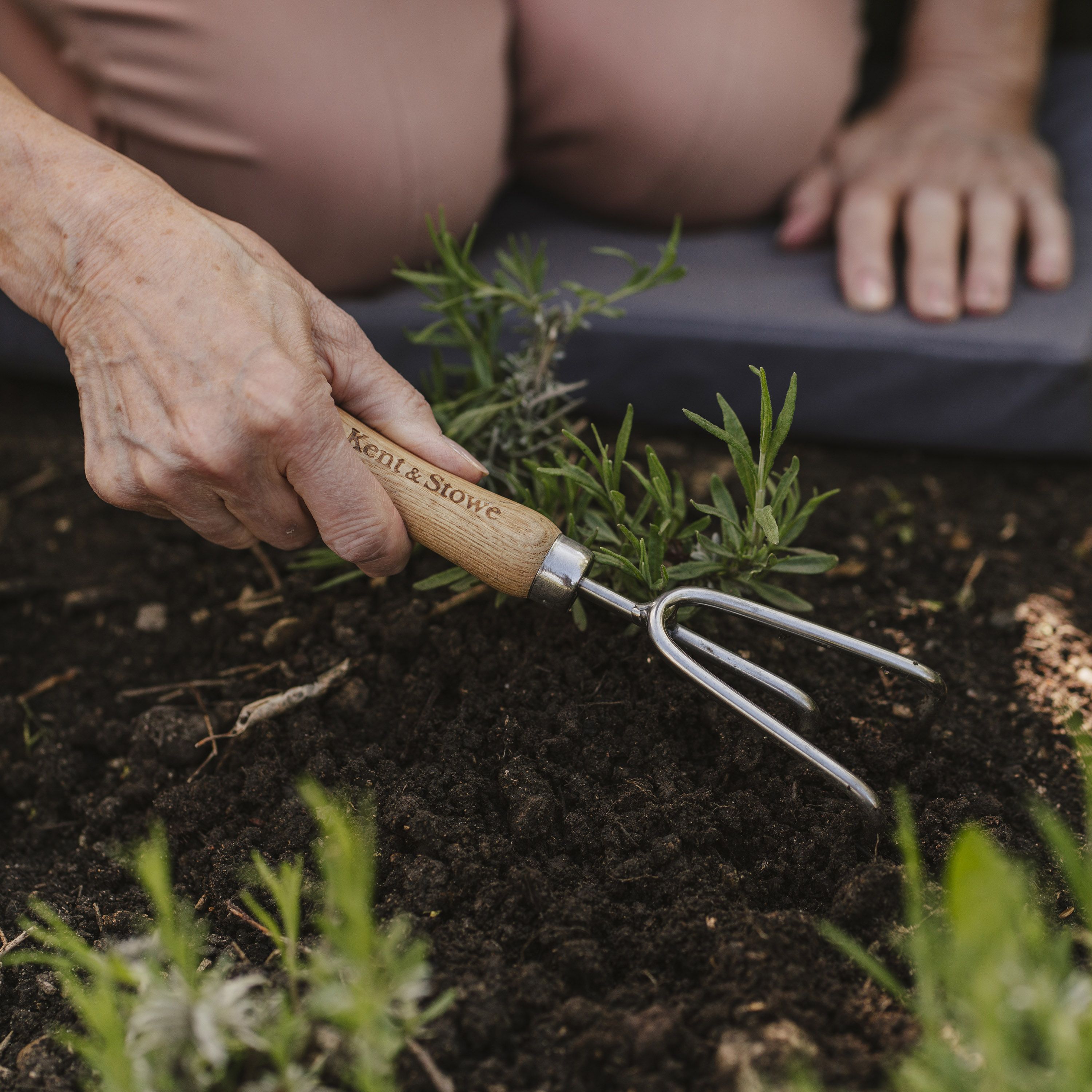 Kent & Stowe Cultivator