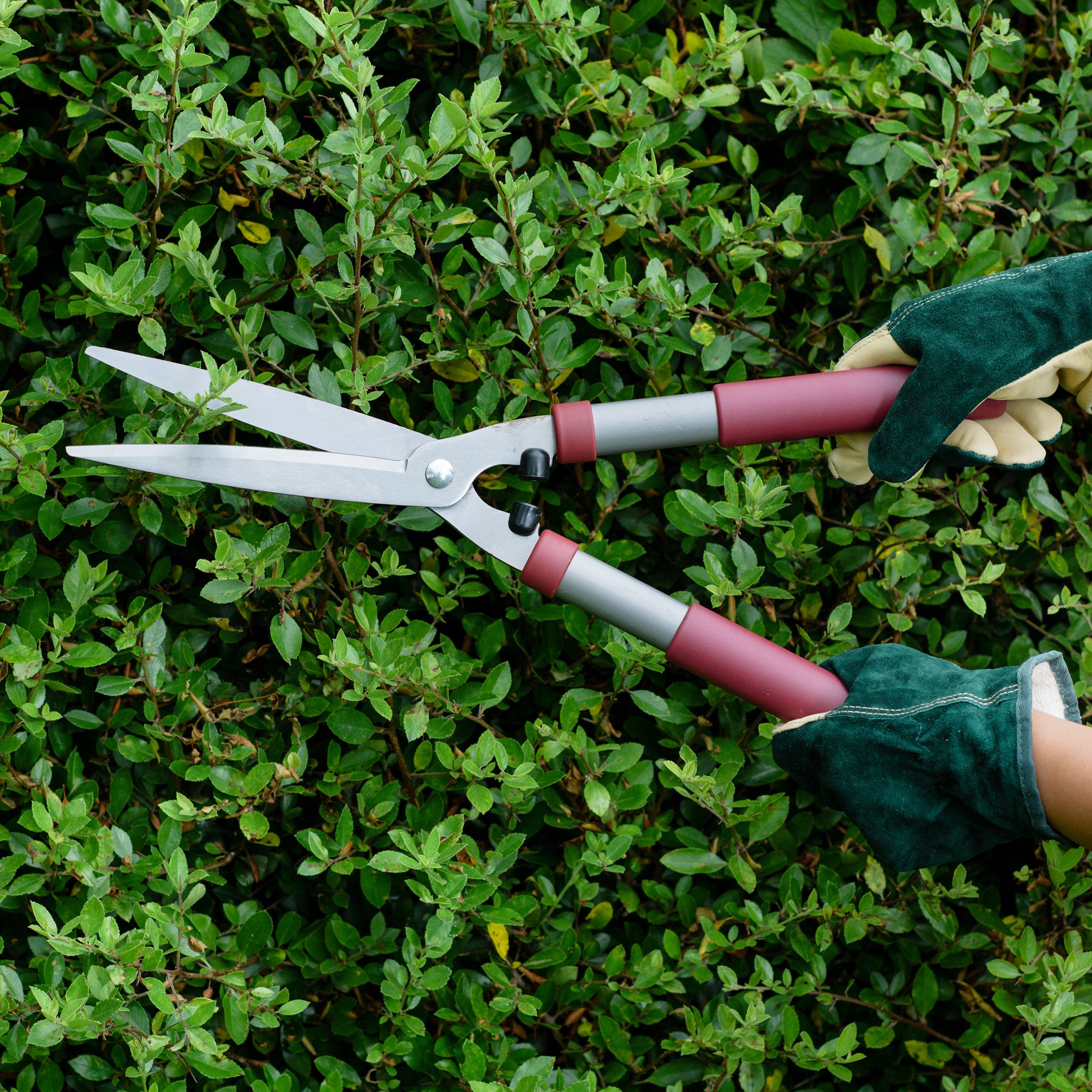 Kent & Stowe Cutting Shears Standard Comfort Grass, hedges & shrubs Shears