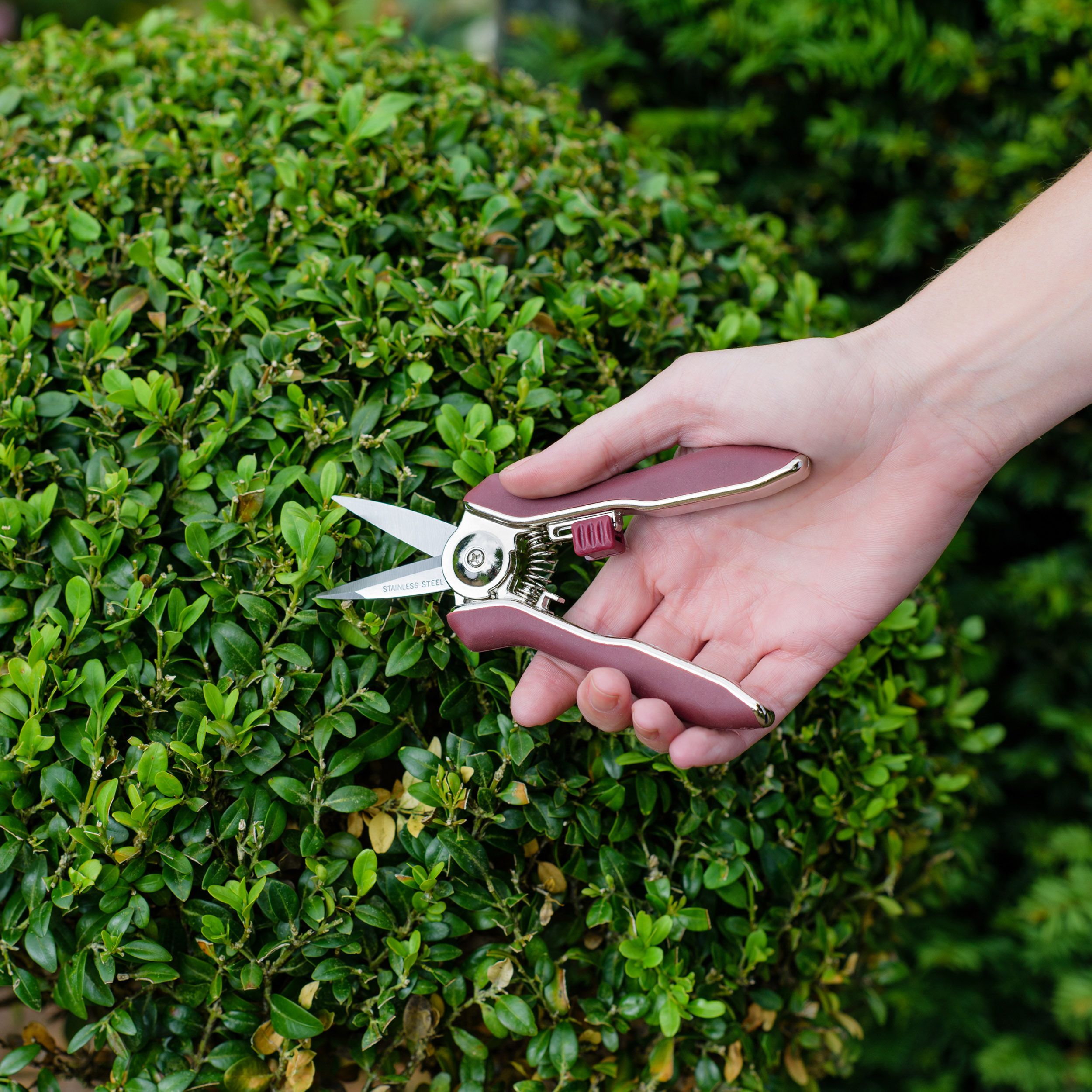 Kent & Stowe Garden Cutting Carbon Steel & Red Precision Garden snips (H) 200mm x (W) 120mm