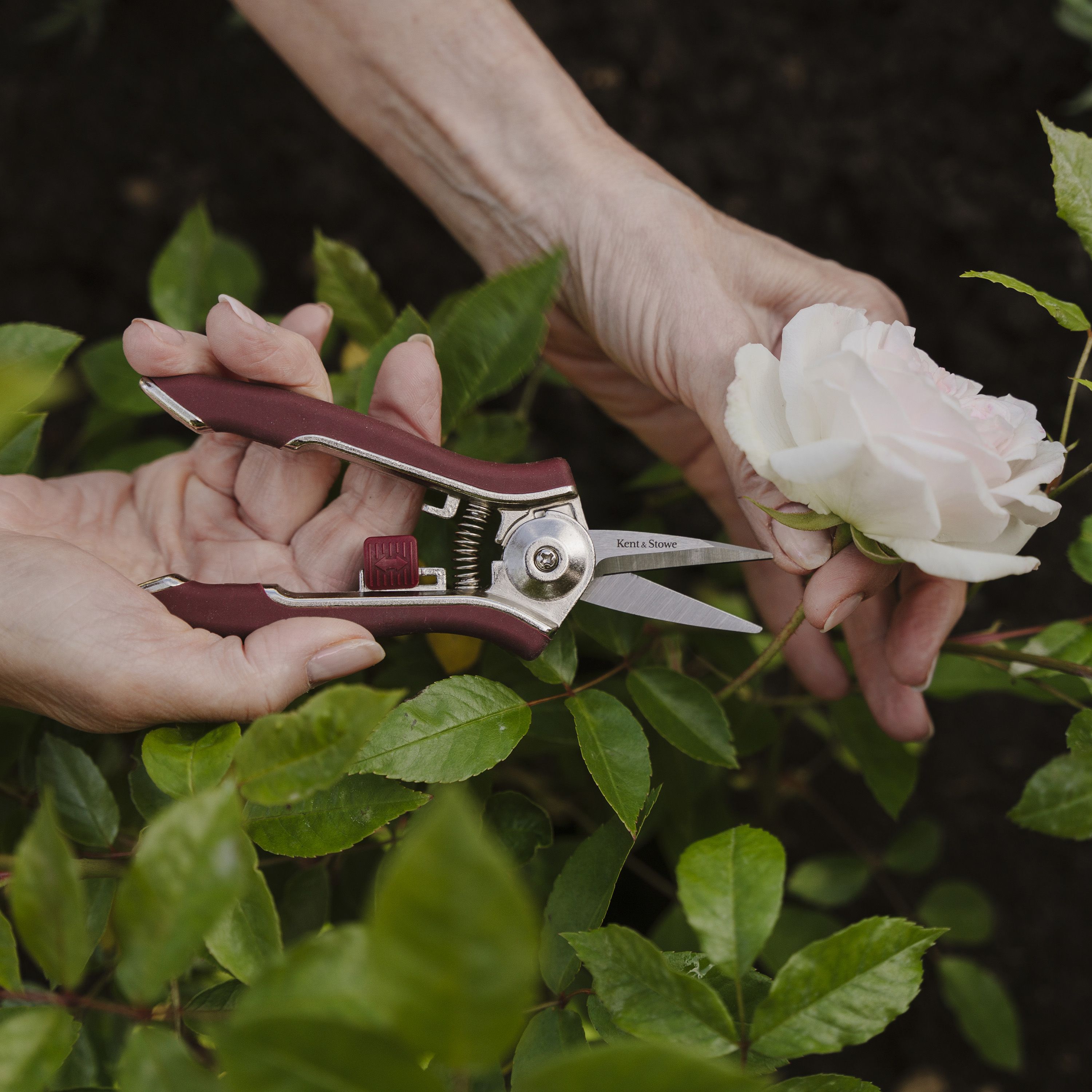 Kent & Stowe Garden Cutting Carbon Steel & Red Precision Garden snips (H) 200mm x (W) 120mm