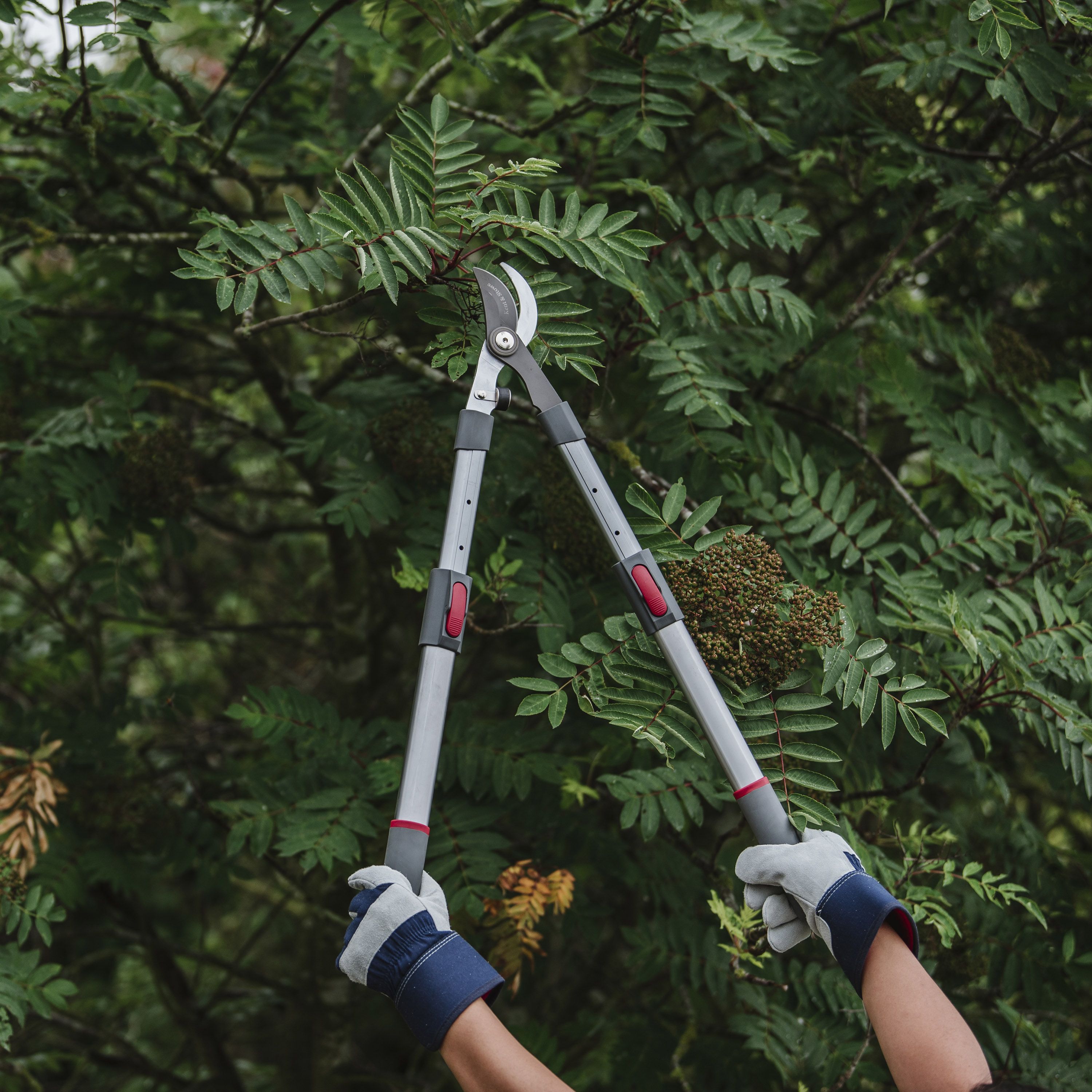 Kent & Stowe Garden Loppers Bypass Telescopic Loppers