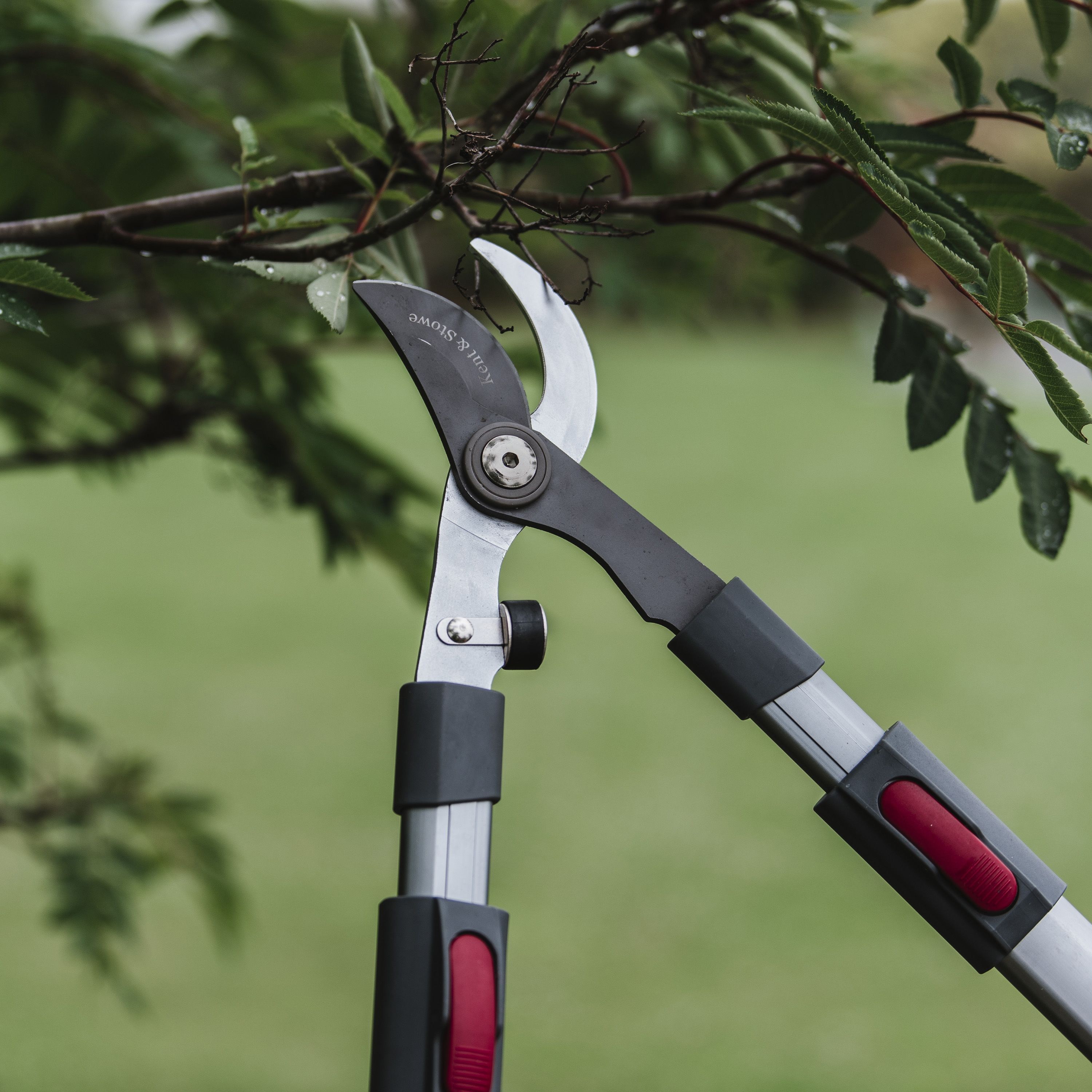 Kent & Stowe Garden Loppers Bypass Telescopic Loppers