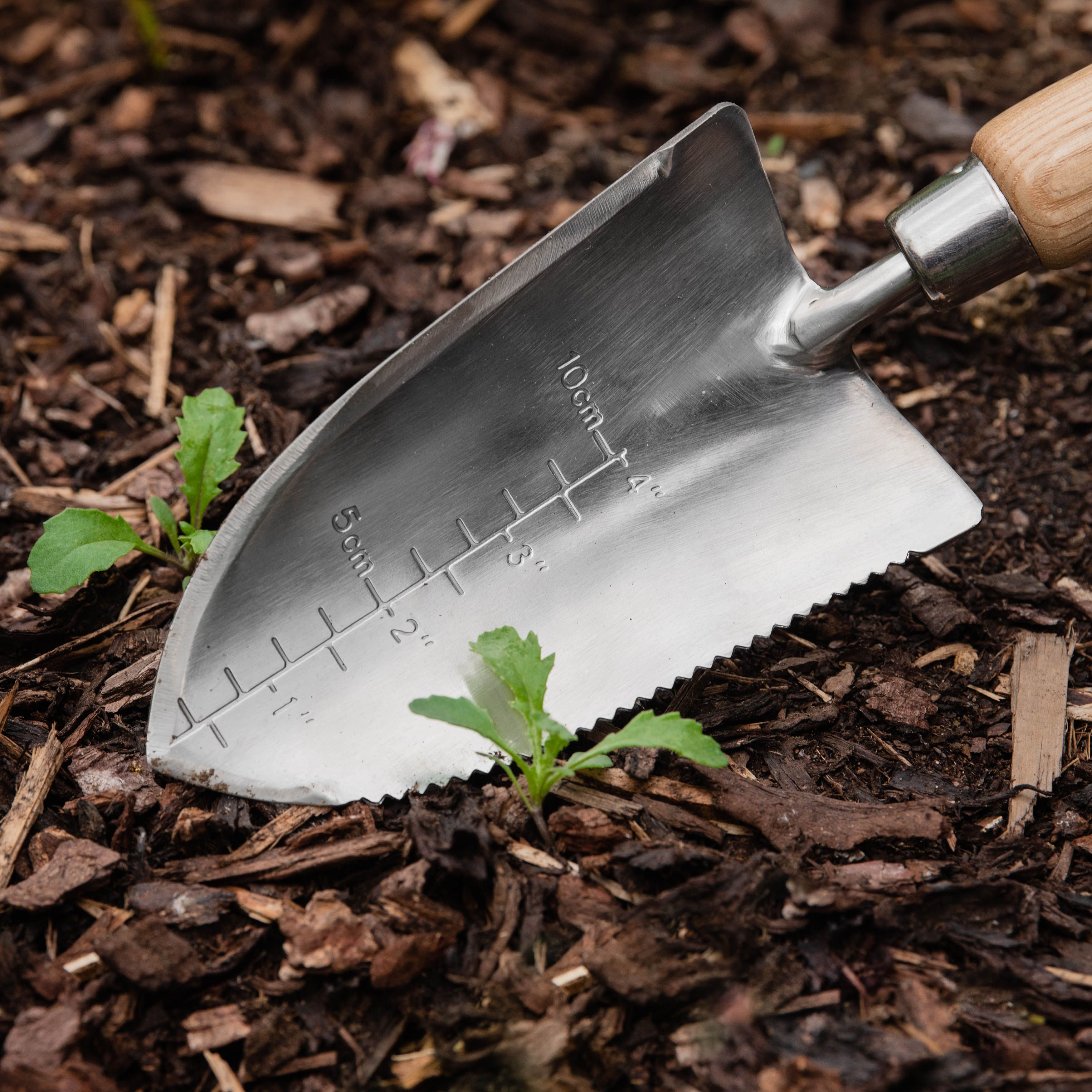 Kent & Stowe Hand Trowels Natural Trowel (H) 320mm x (W) 86mm