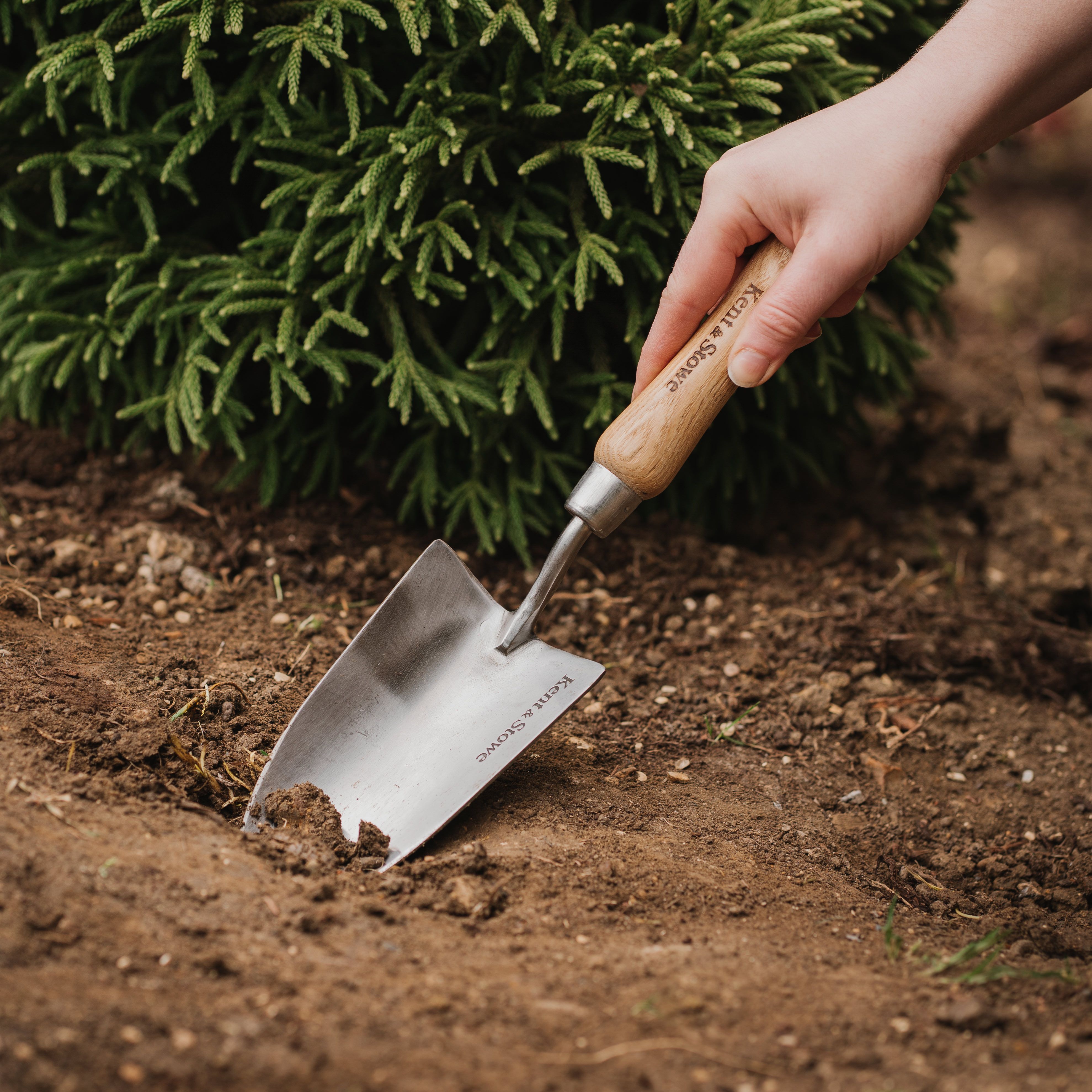 Kent & Stowe Hand Trowels Natural Trowel (H) 330mm x (W) 85mm