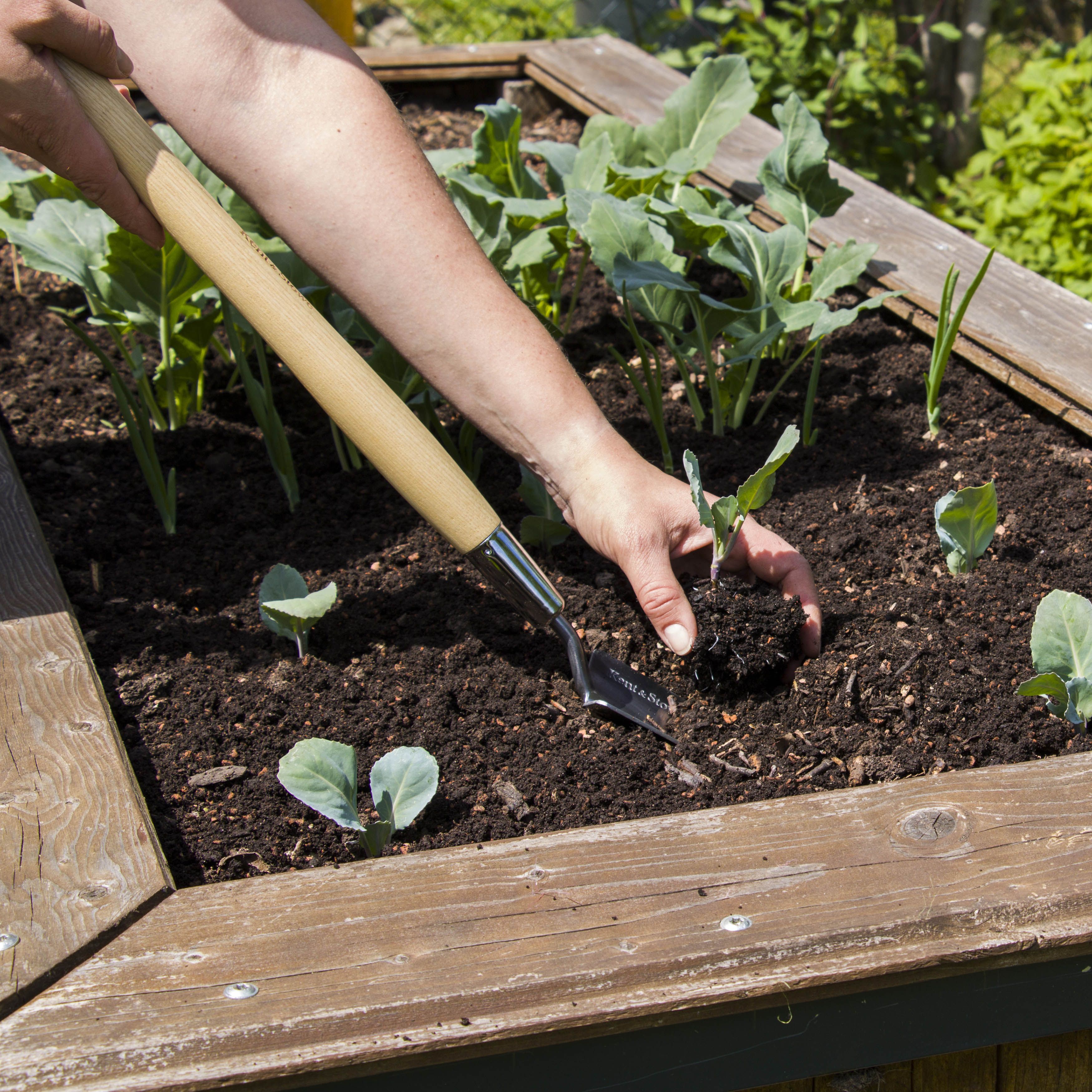 Kent & Stowe Hand Trowels Natural Trowel (H) 600mm x (W) 80mm