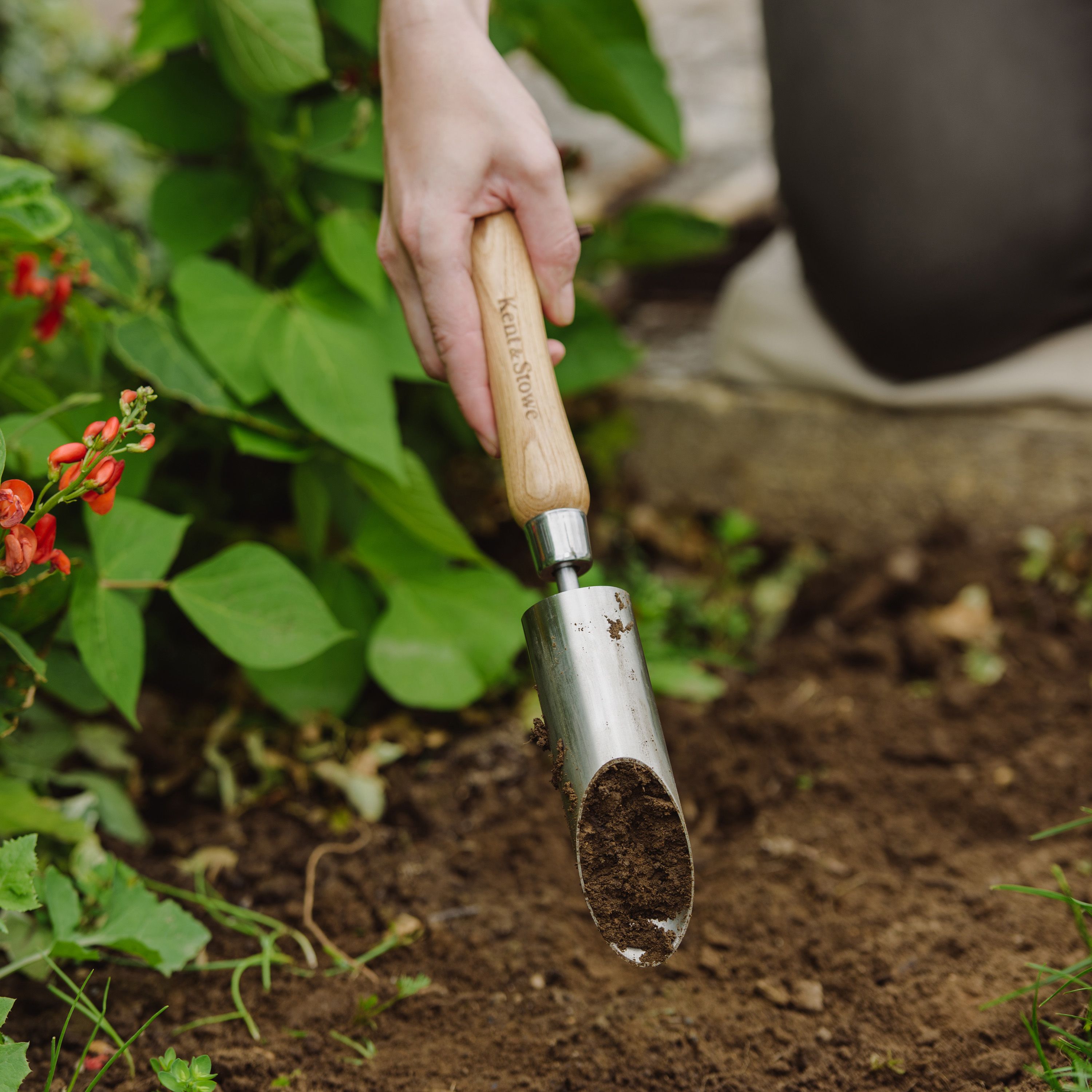Kent & Stowe Wooden Bulb planter