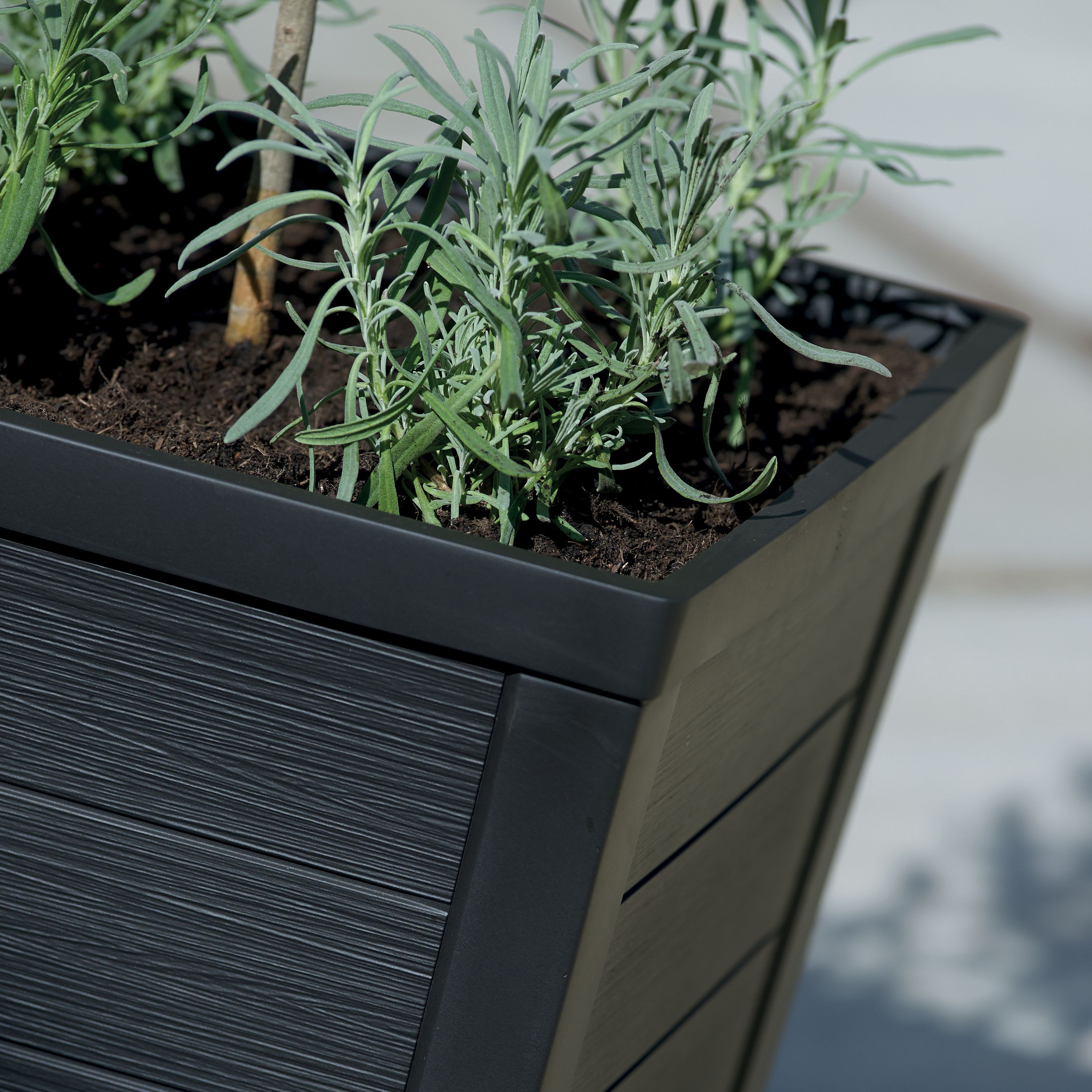 Keter Taper Tall Rectangular Resin Planter 25L (W)37cm