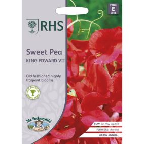 King Edward VII Sweet Pea Seed