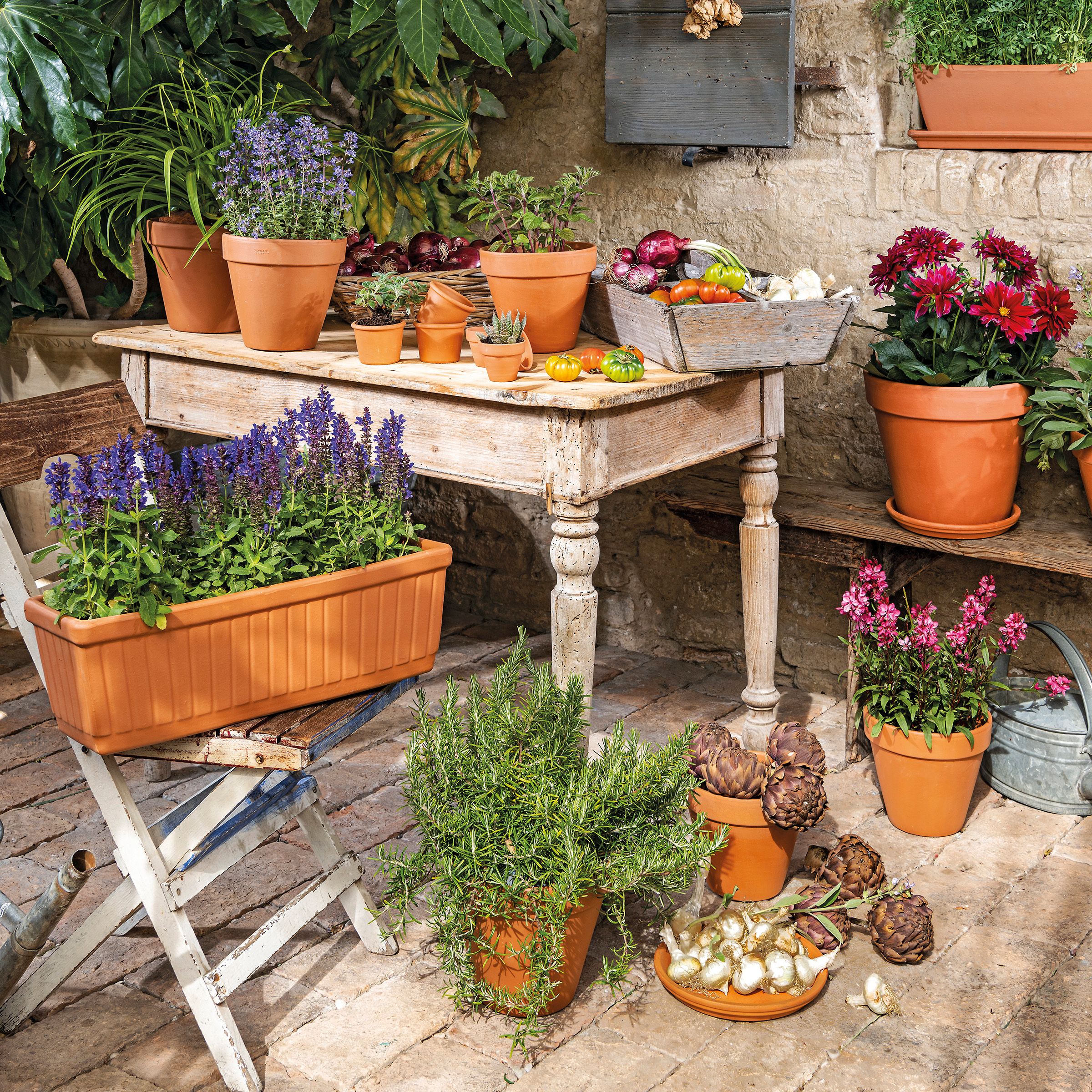 Laleh Terracotta Circular Plant pot (Dia)11.2cm