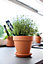 Laleh Terracotta Circular Plant pot (Dia)11.2cm