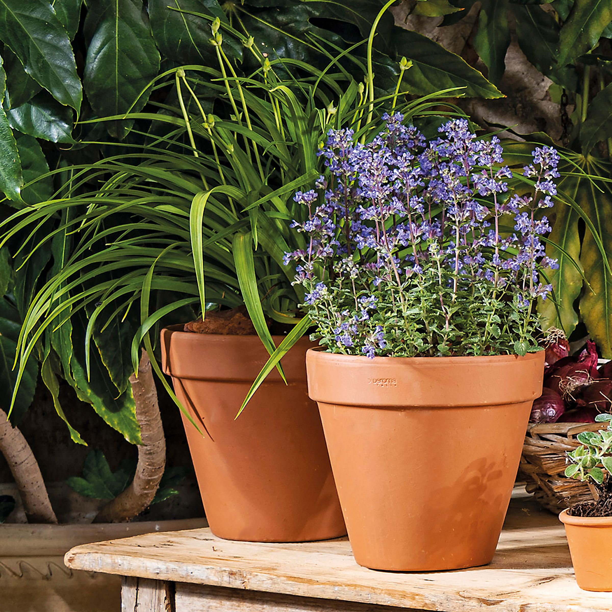 Laleh Terracotta Circular Plant pot (Dia)11.2cm
