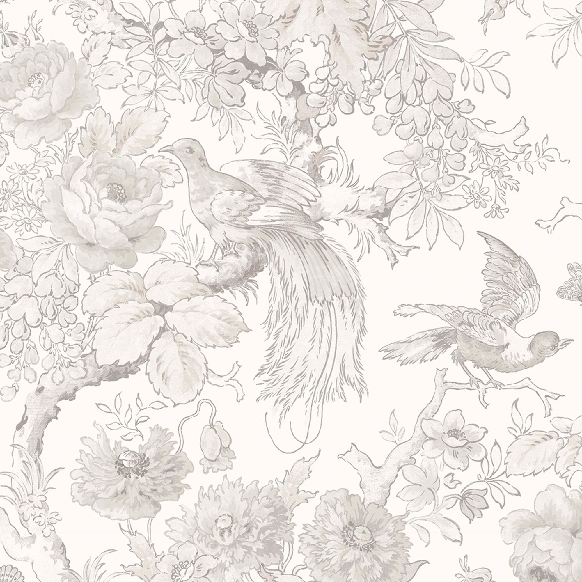 Laura Ashley Birtle Dove Grey Floral Smooth Wallpaper Sample